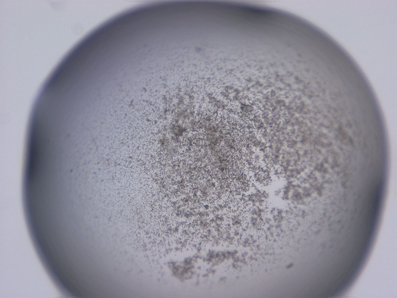 04gc_C12_ImagerDefaults_3.jpg