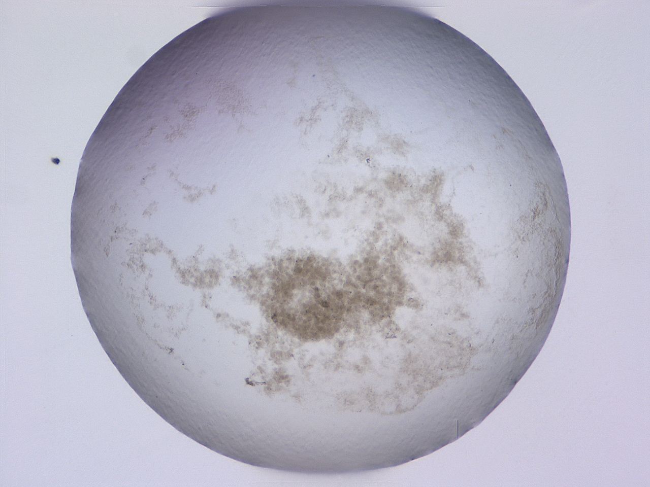 04gc_D8_ImagerDefaults_3.jpg