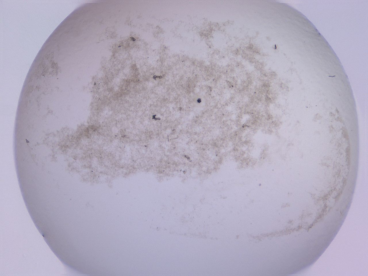 04gc_D10_ImagerDefaults_3.jpg