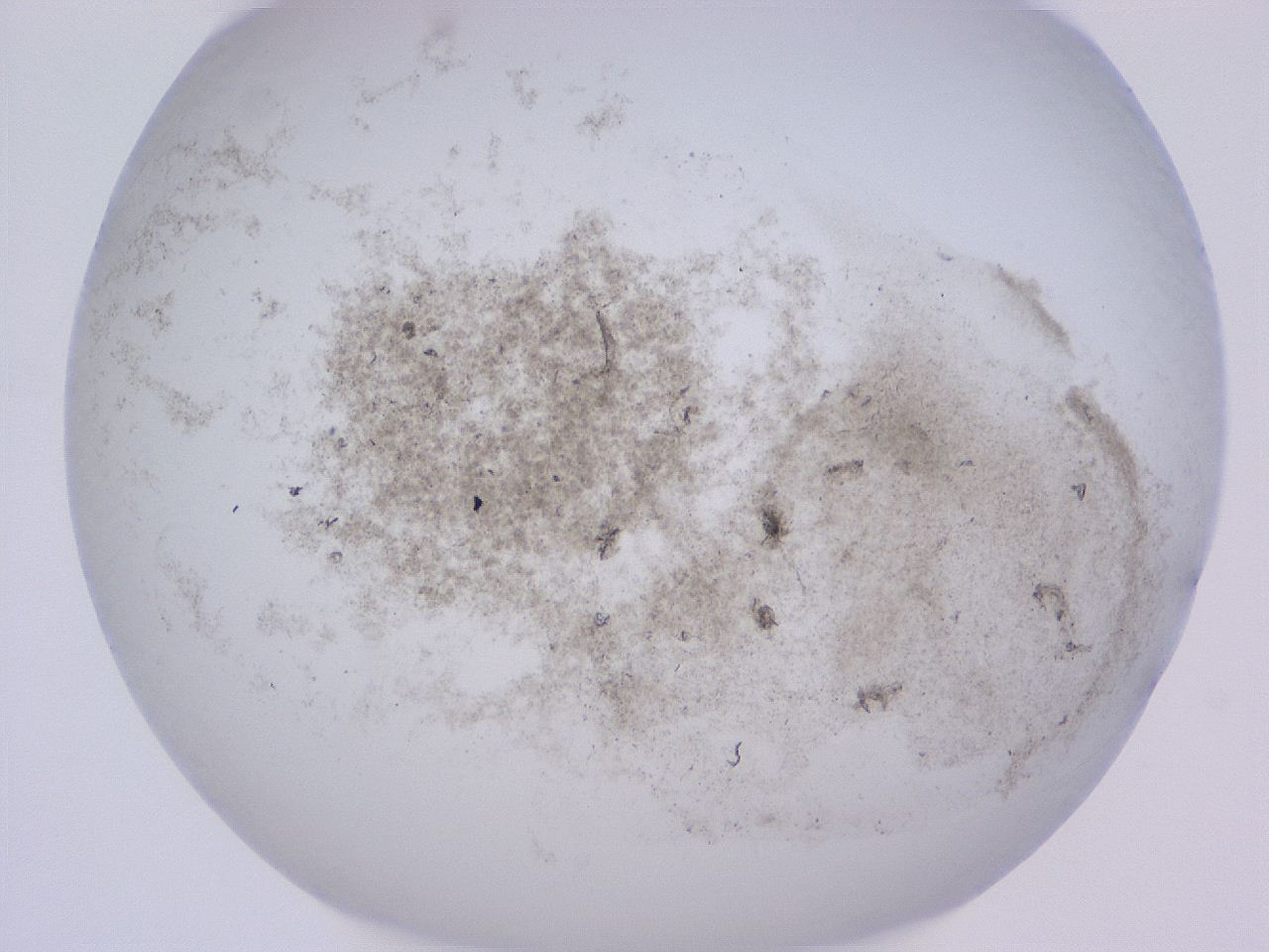 04gc_D11_ImagerDefaults_3.jpg