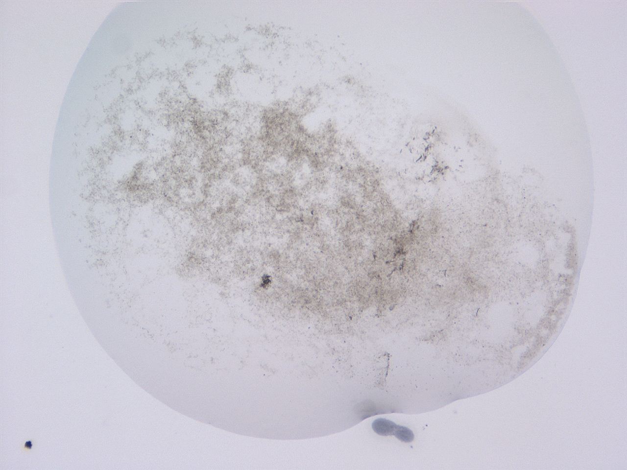 04gc_D12_ImagerDefaults_3.jpg