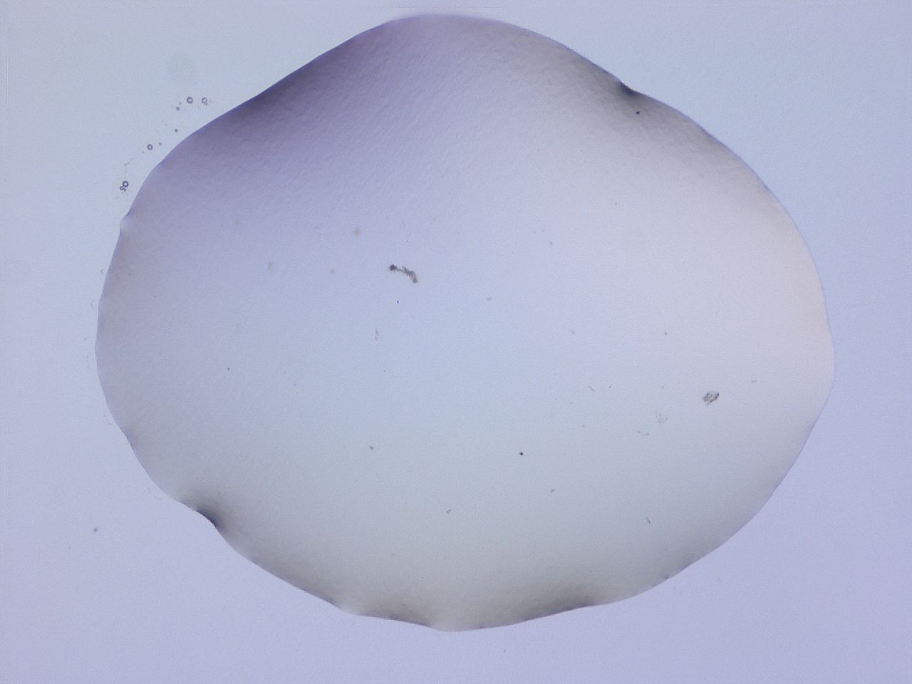 04gc_E10_ImagerDefaults_0.jpg