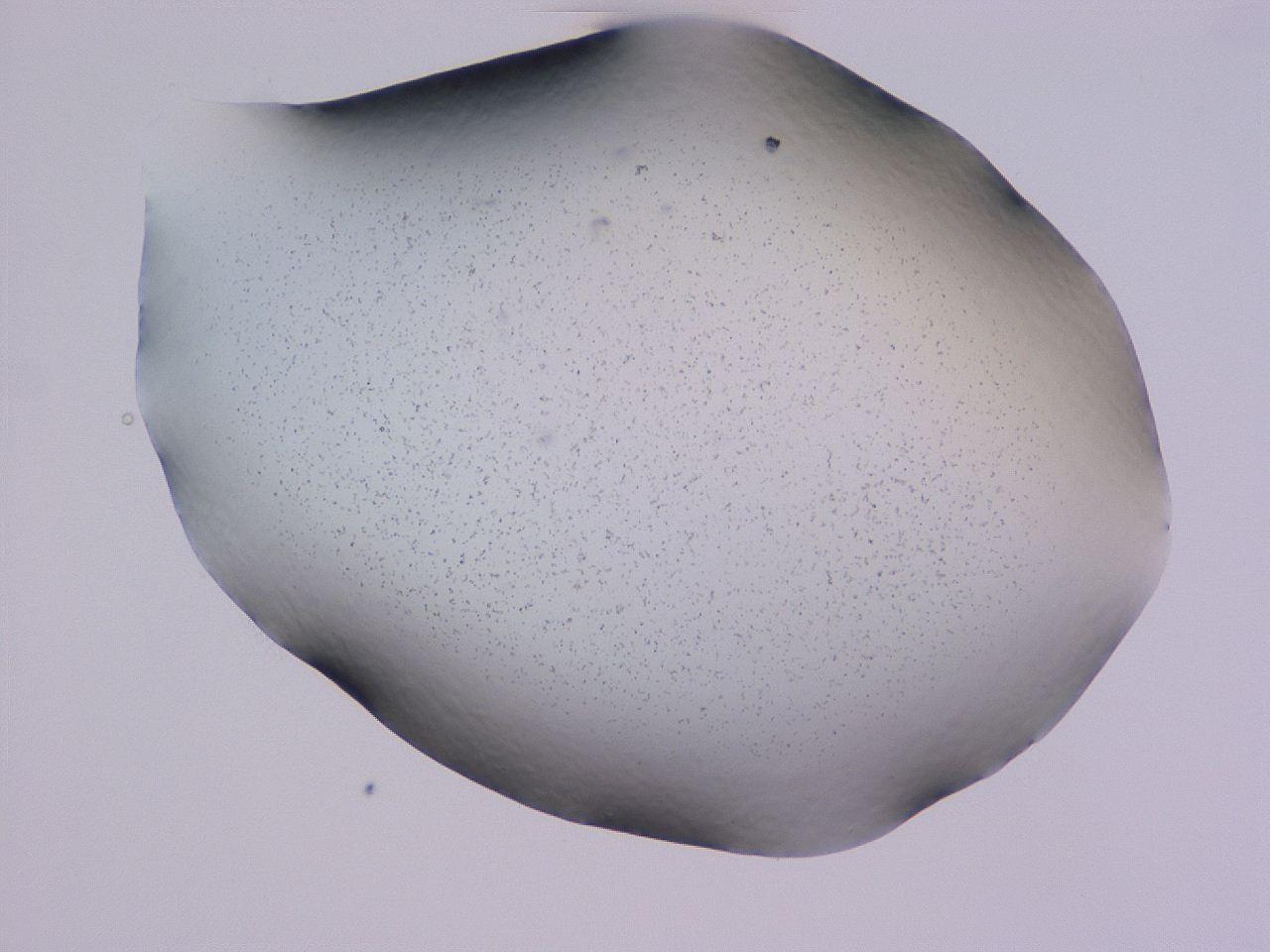 04gc_E12_ImagerDefaults_3.jpg