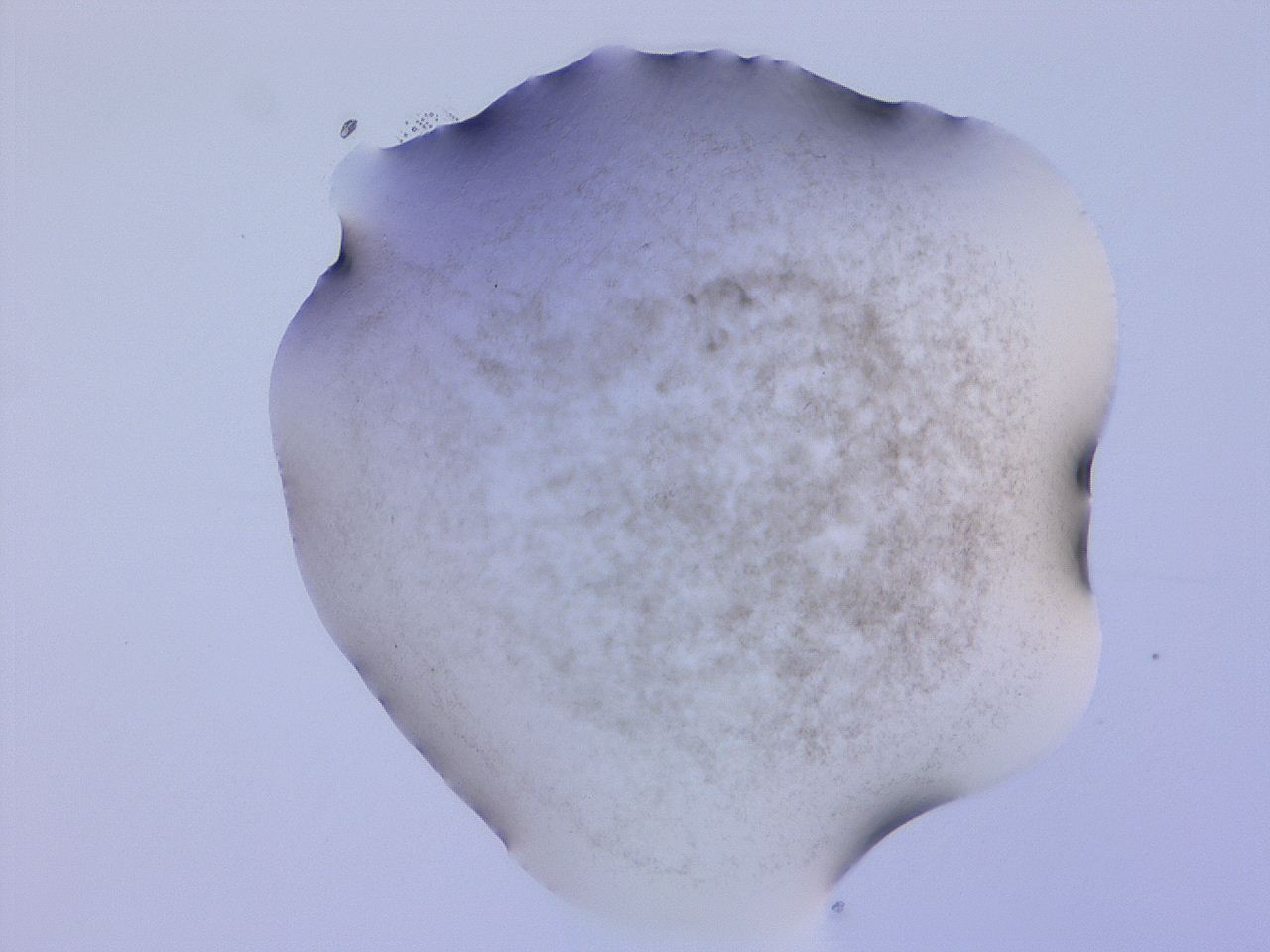 04gc_F6_ImagerDefaults_3.jpg