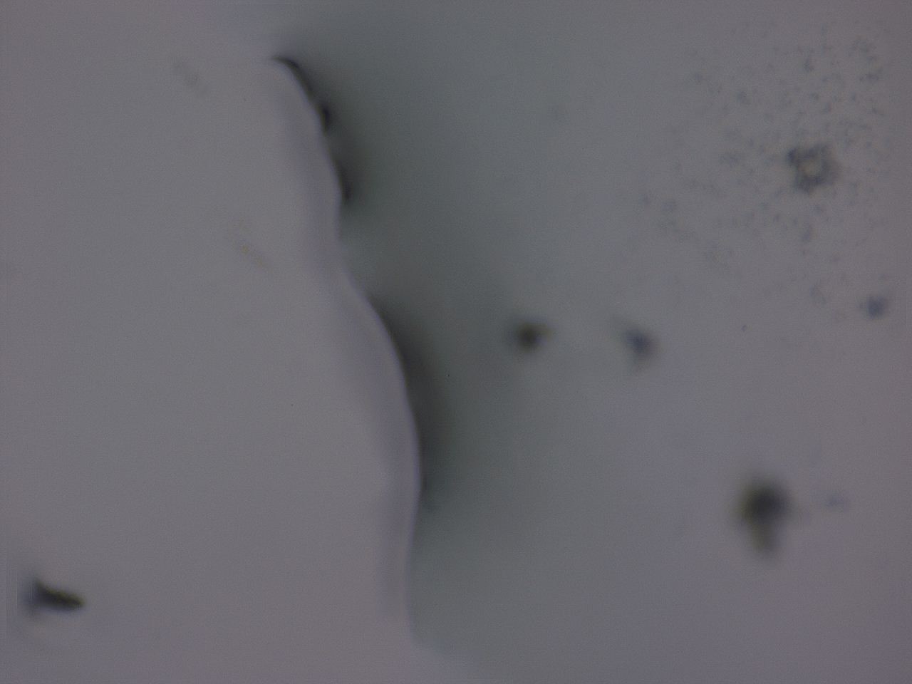 04gc_F9_ImagerDefaults_3.jpg