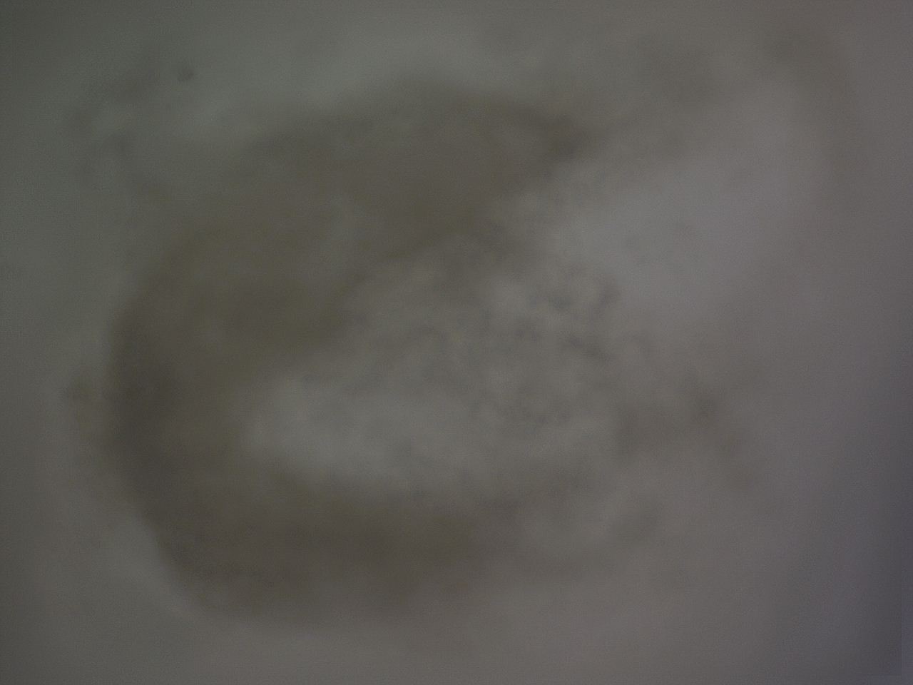 04gc_G10_ImagerDefaults_3.jpg