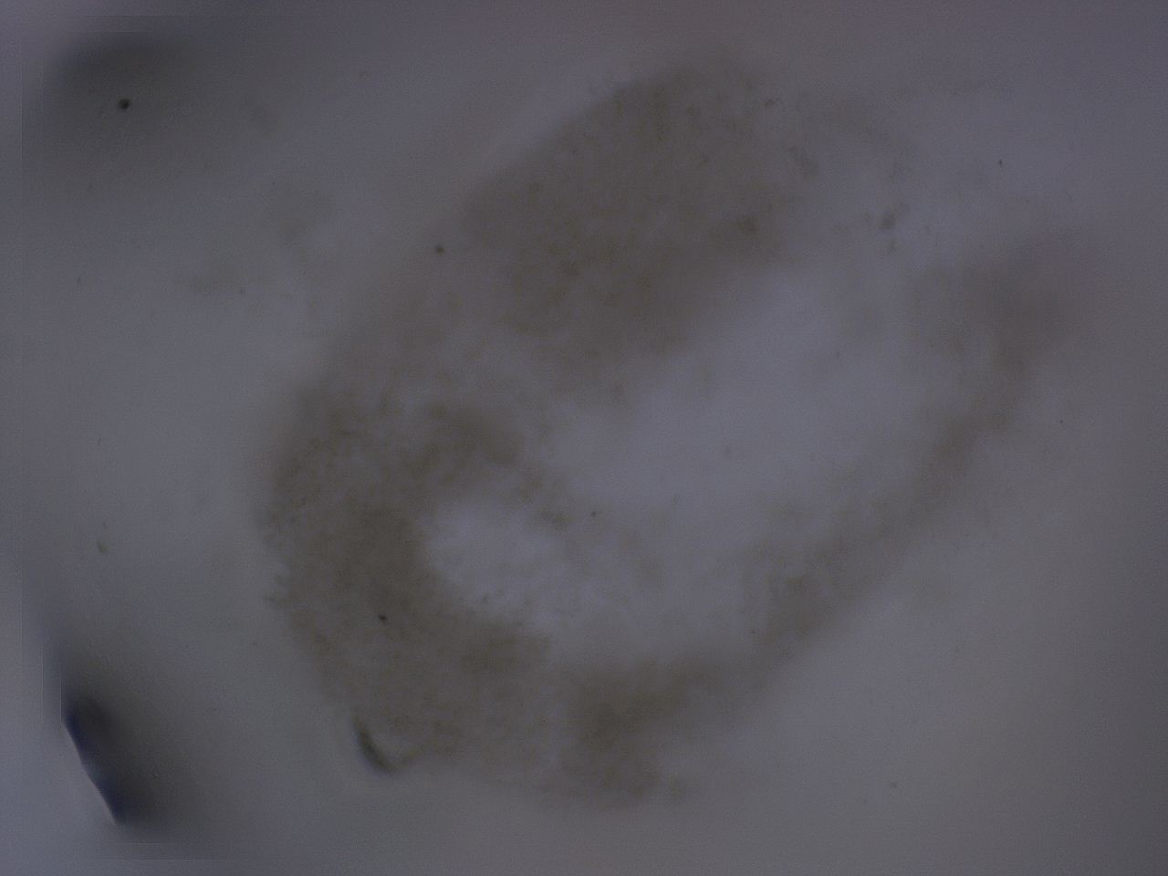 04gc_G11_ImagerDefaults_3.jpg