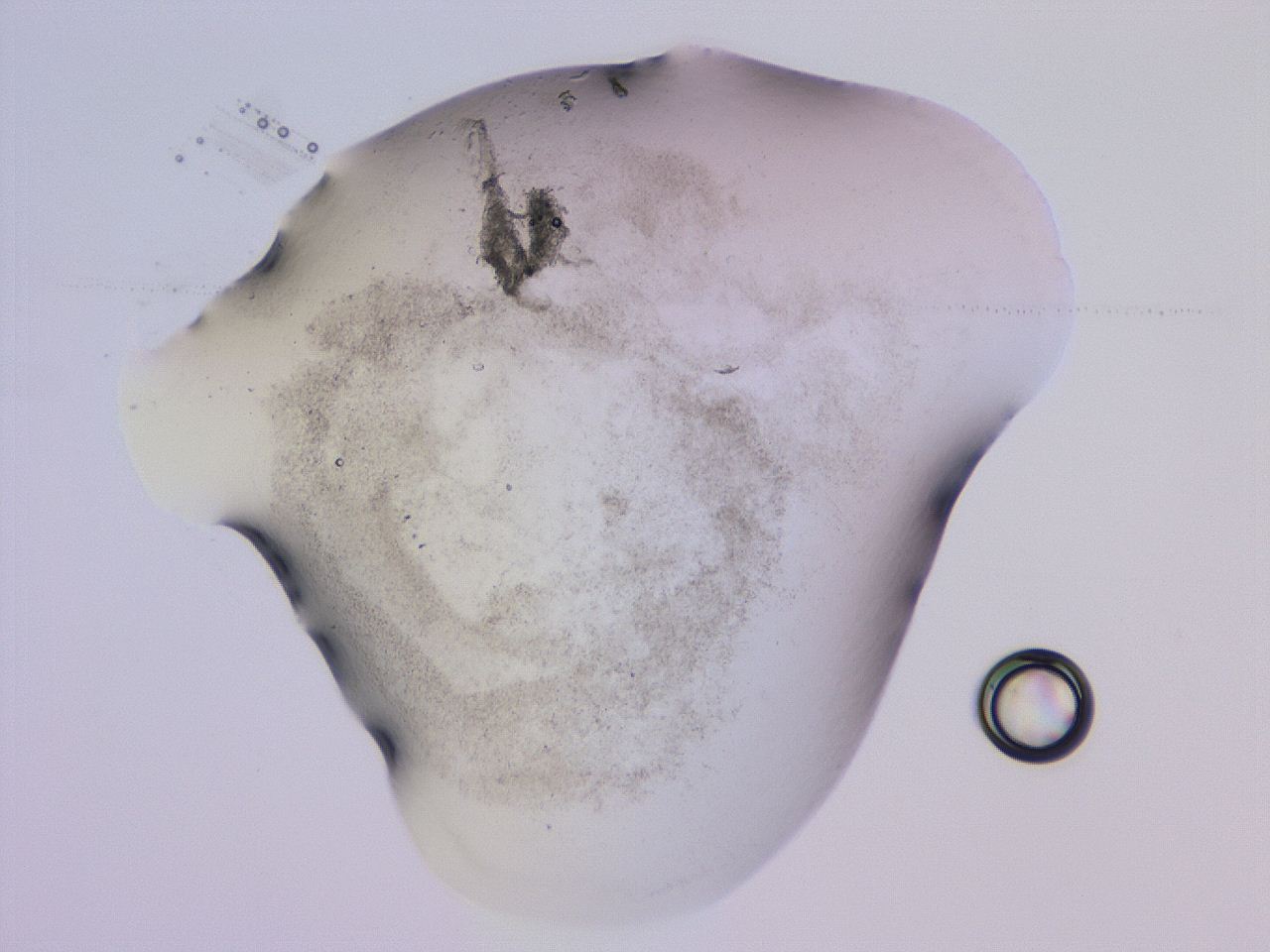 04gc_G12_ImagerDefaults_3.jpg