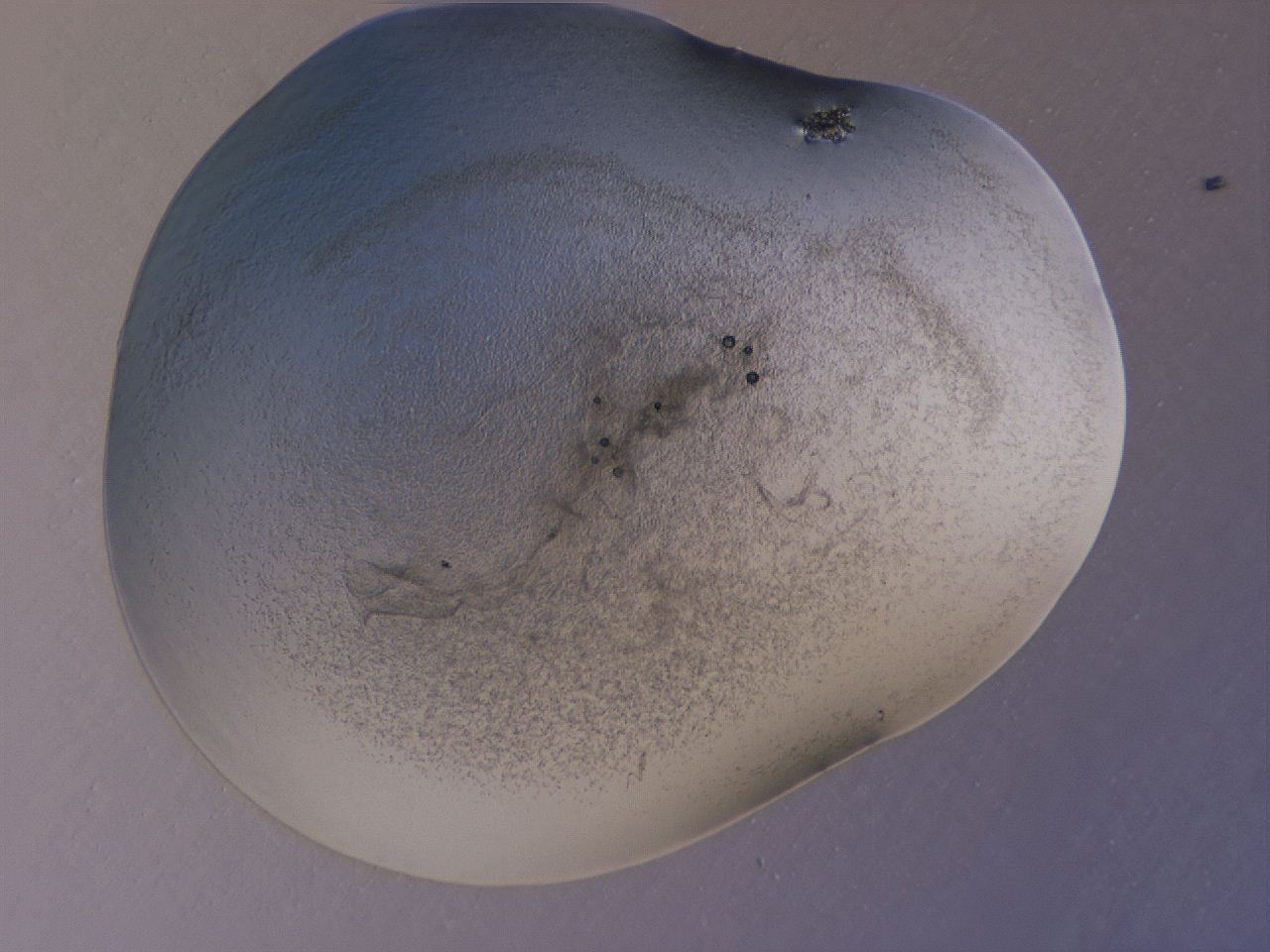 04gd_A5_ImagerDefaults_3.jpg