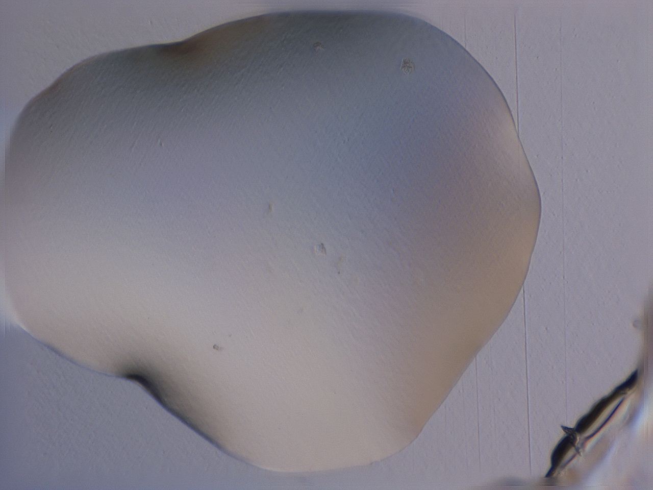04gd_A10_ImagerDefaults_0.jpg