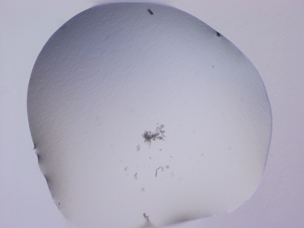 04gd_A12_ImagerDefaults_0.jpg