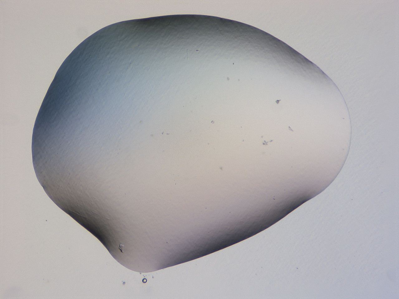 04gd_B2_ImagerDefaults_0.jpg