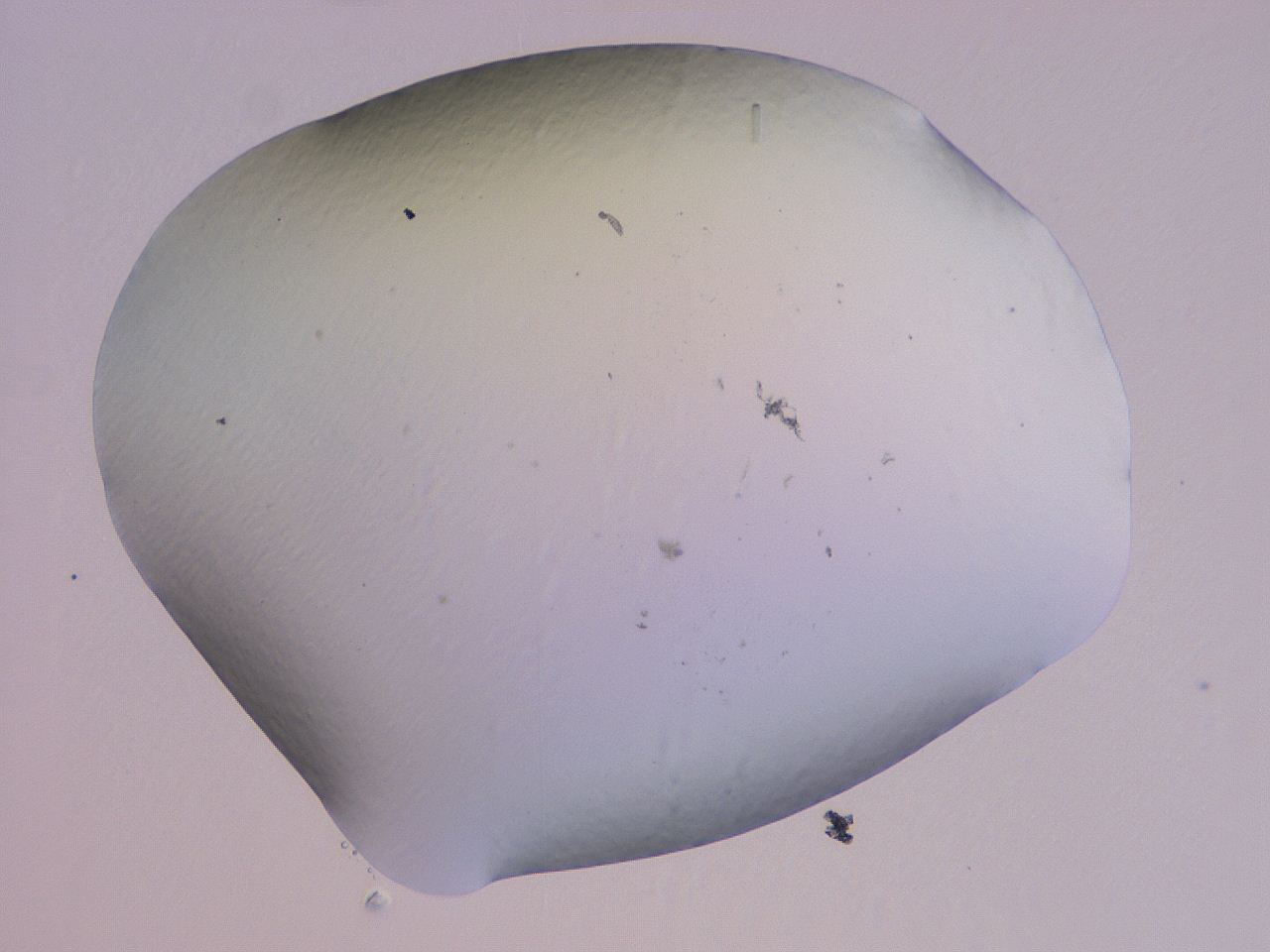 04gd_B4_ImagerDefaults_0.jpg