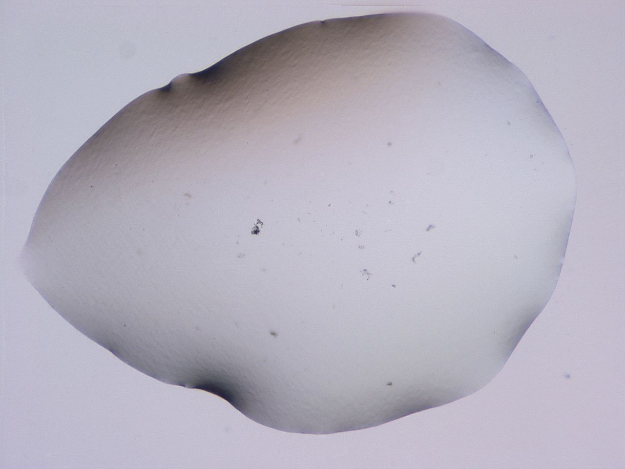 04gd_C8_ImagerDefaults_0.jpg