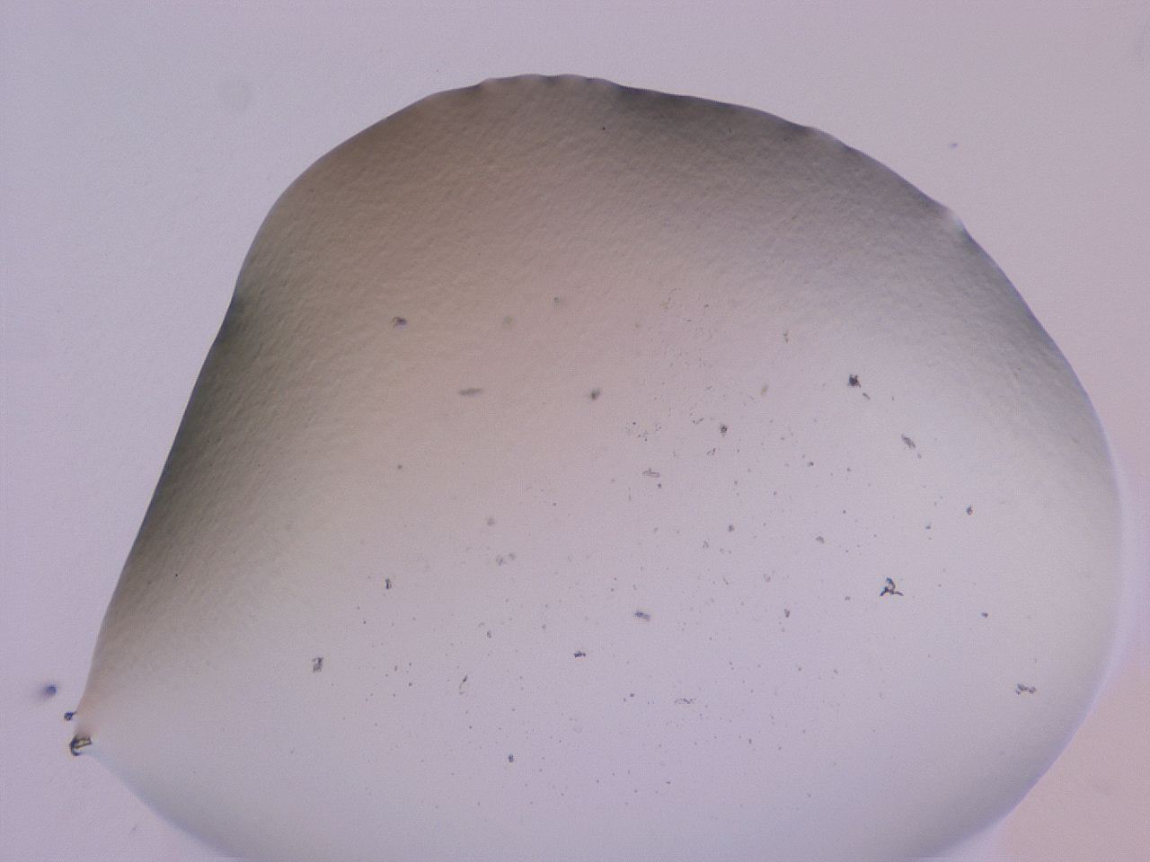 04gd_D2_ImagerDefaults_0.jpg