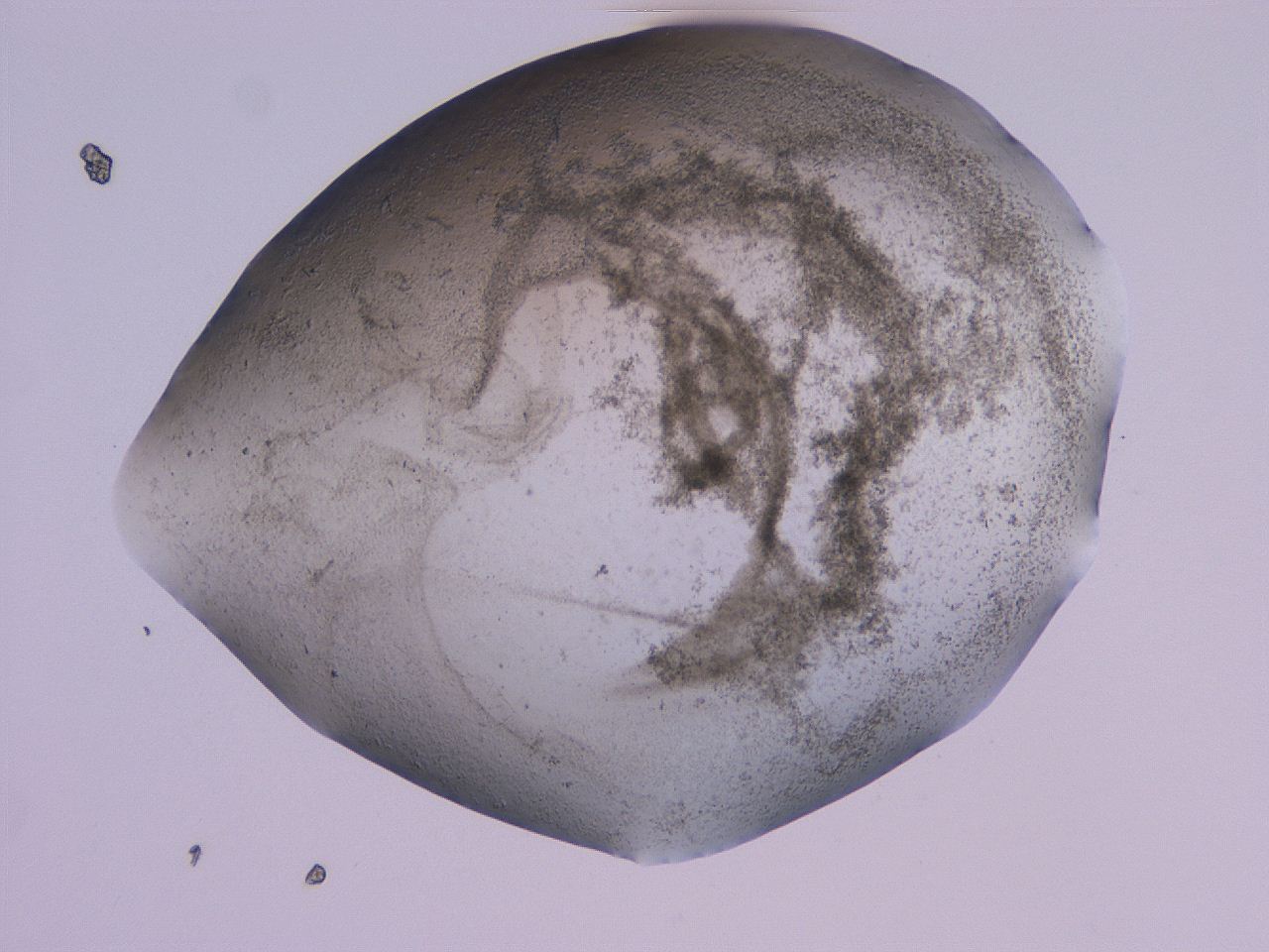 04gd_D10_ImagerDefaults_3.jpg