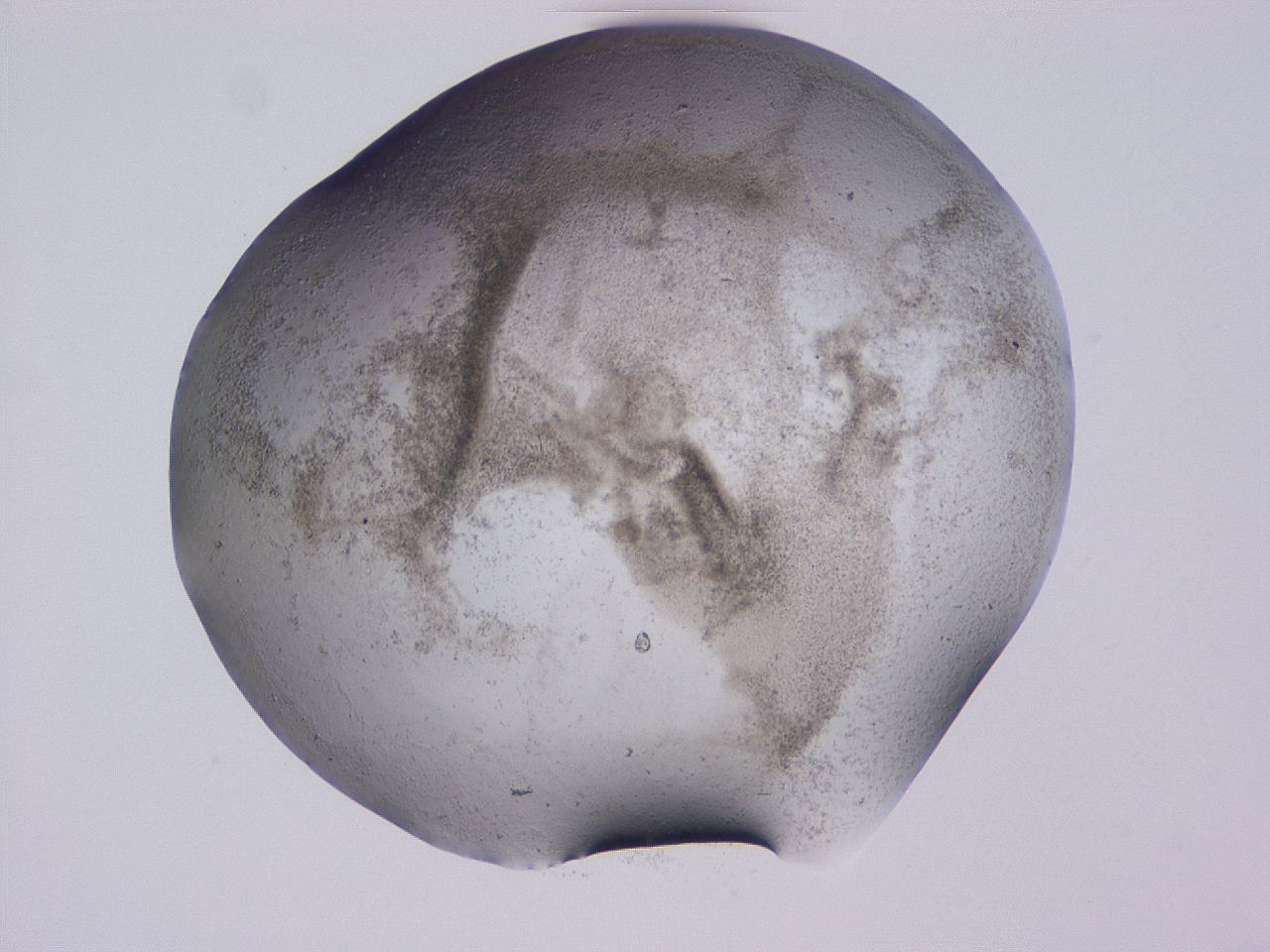 04gd_D11_ImagerDefaults_3.jpg