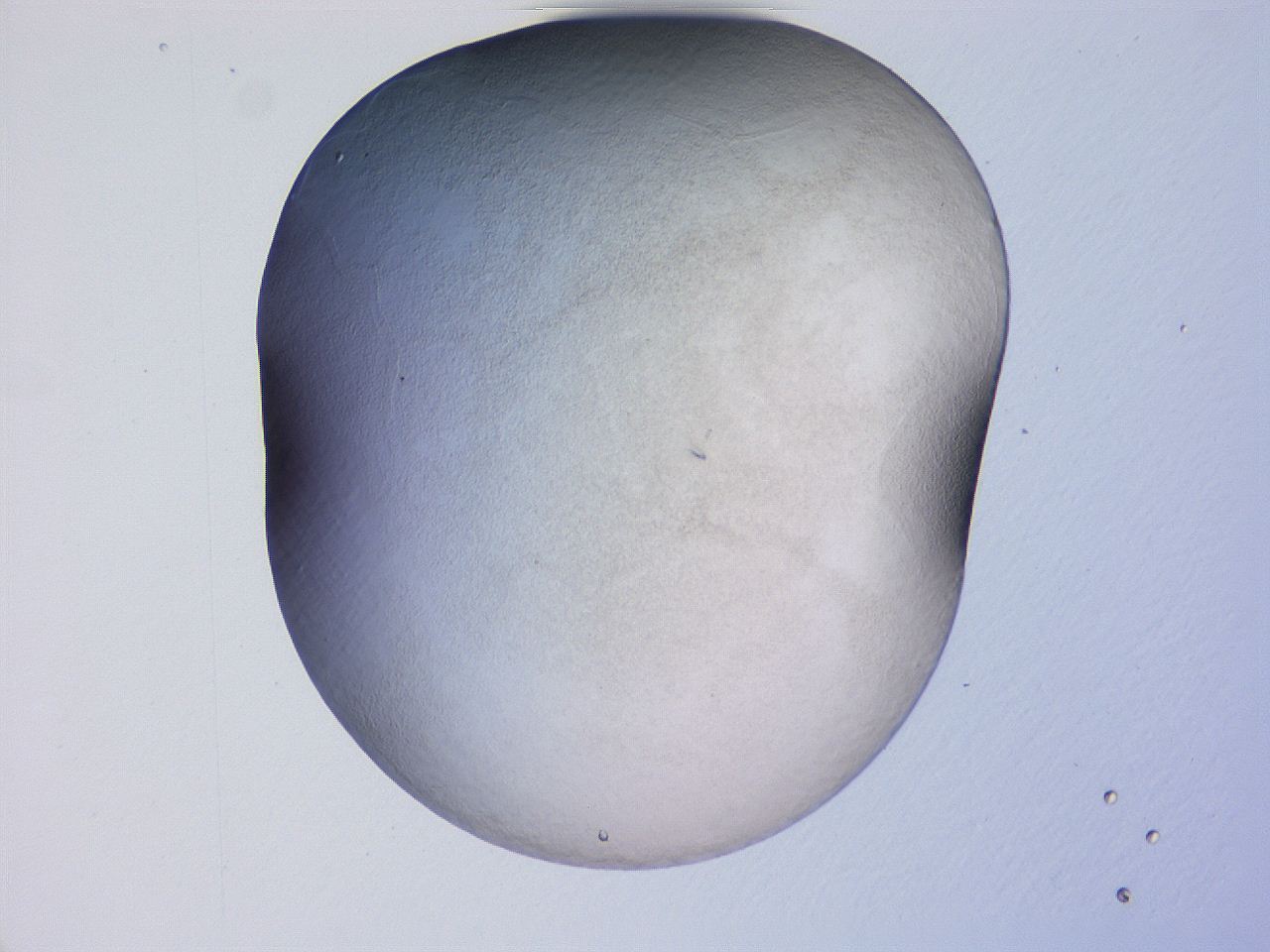 04gd_D12_ImagerDefaults_3.jpg