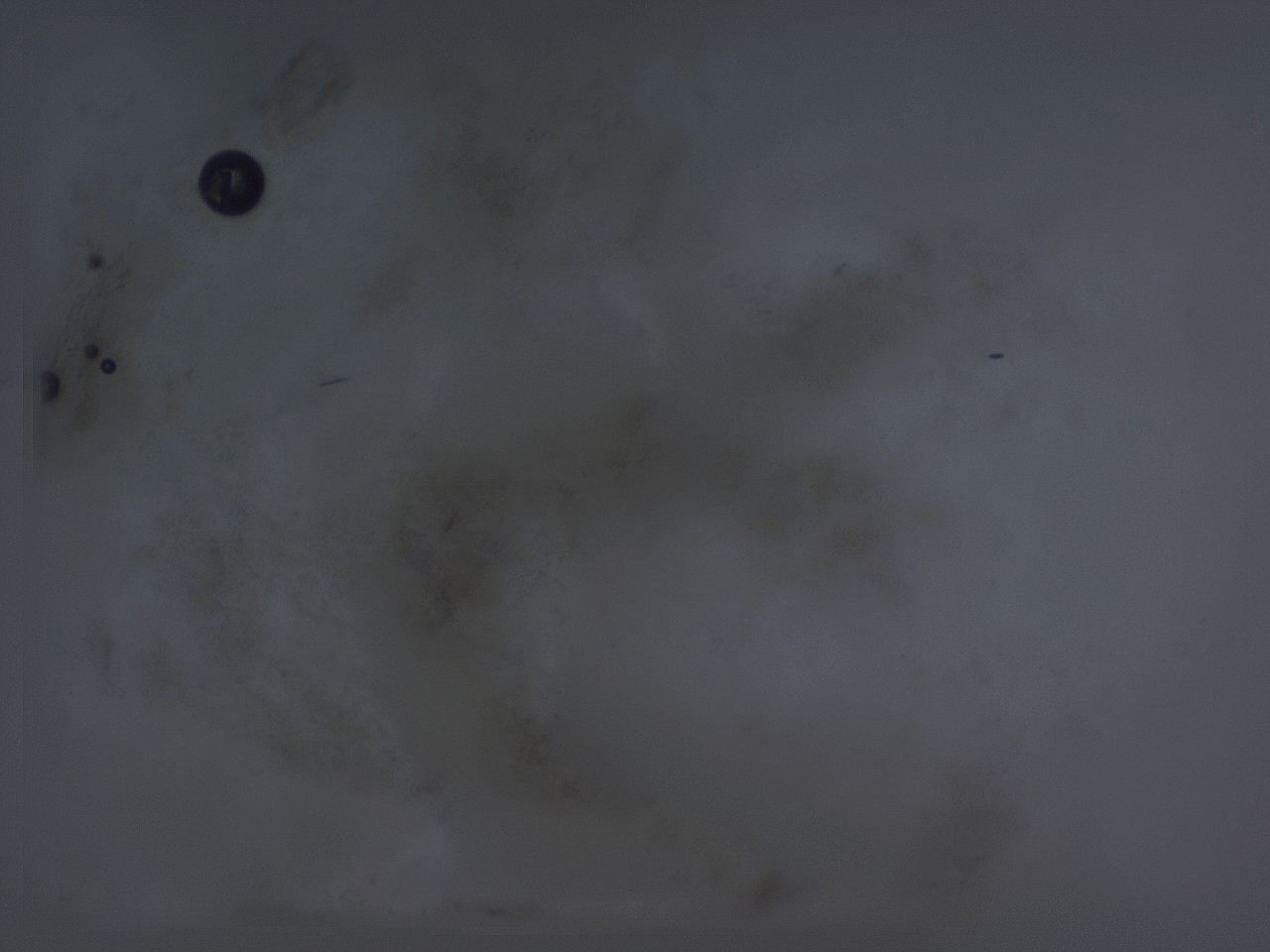 04gd_B11_ImagerDefaults_3.jpg