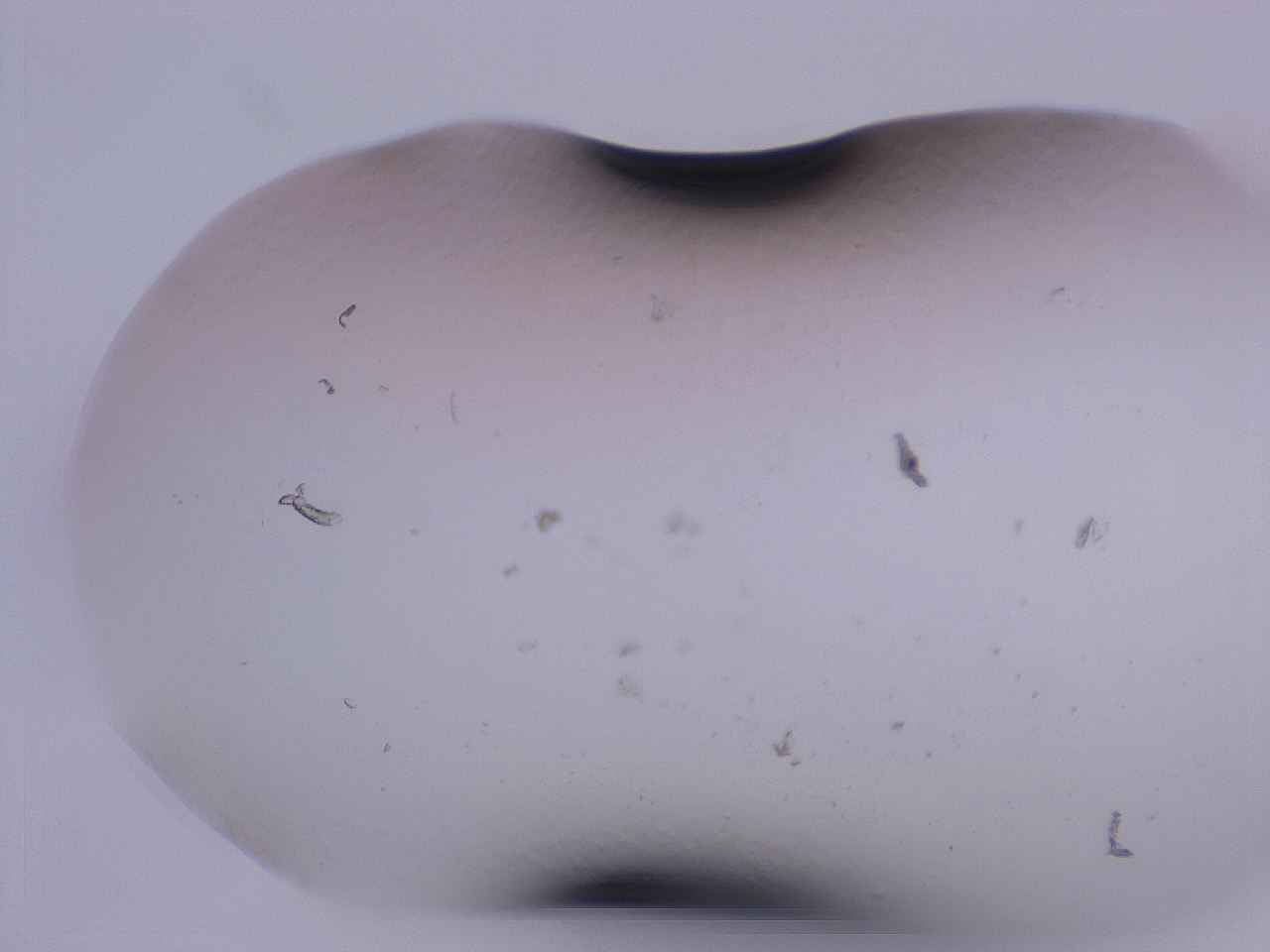 04gd_C4_ImagerDefaults_0.jpg