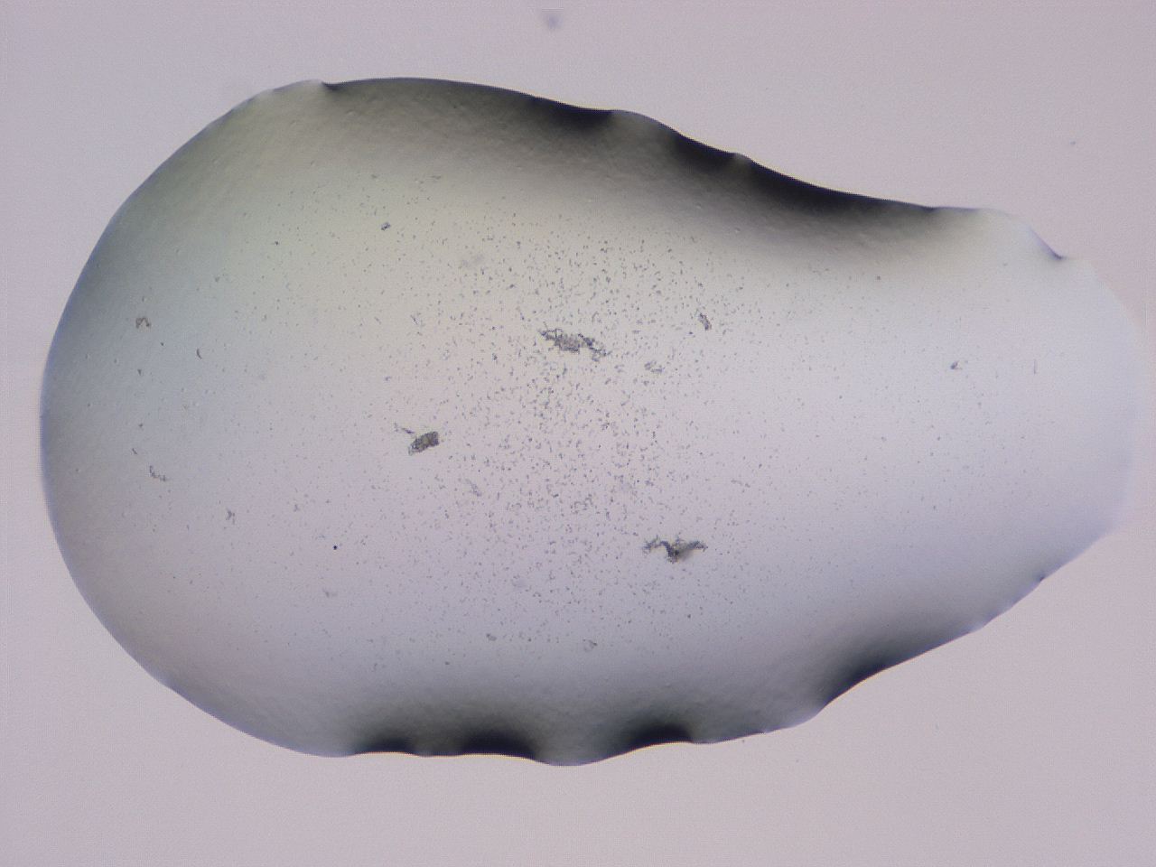 04gd_C6_ImagerDefaults_3.jpg