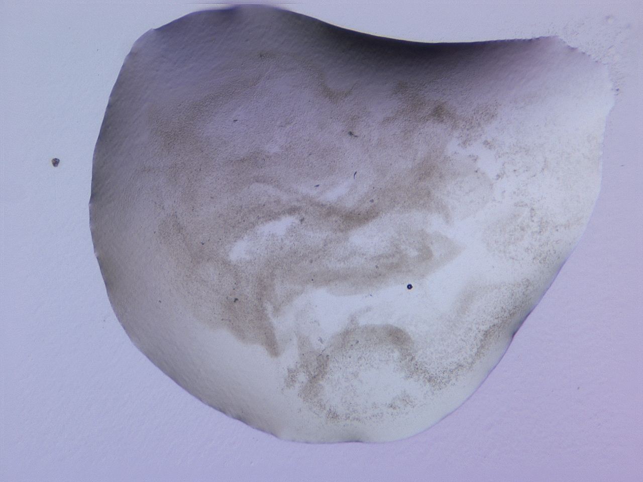 04gd_E10_ImagerDefaults_3.jpg