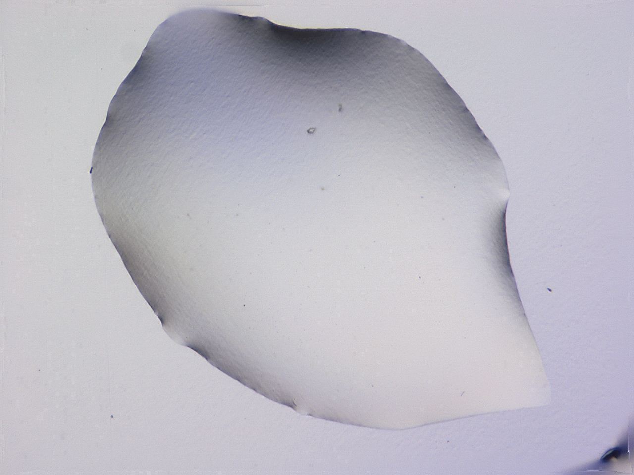 04gd_E11_ImagerDefaults_0.jpg