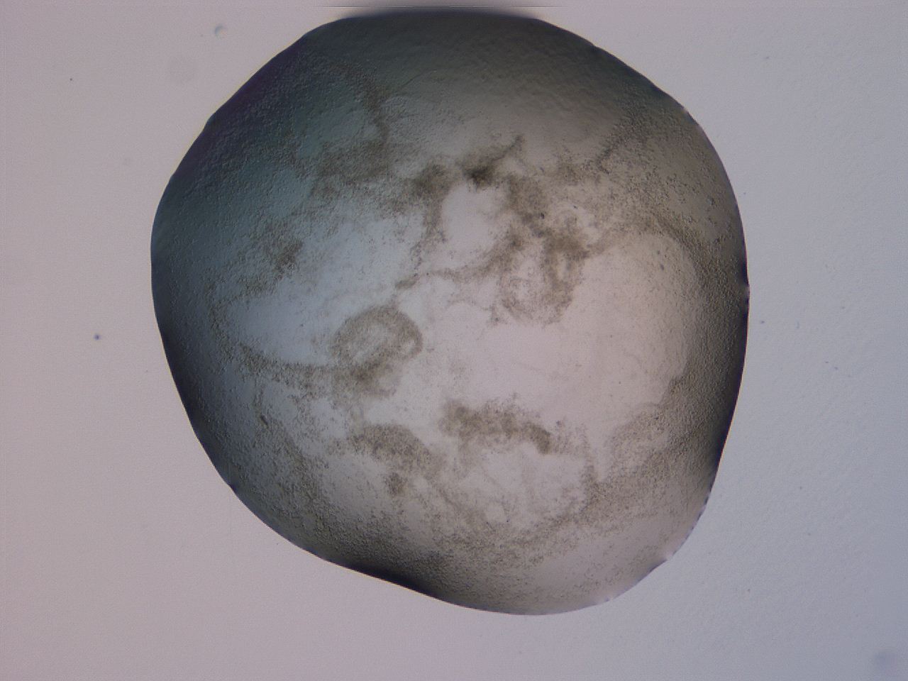 04gd_E12_ImagerDefaults_3.jpg