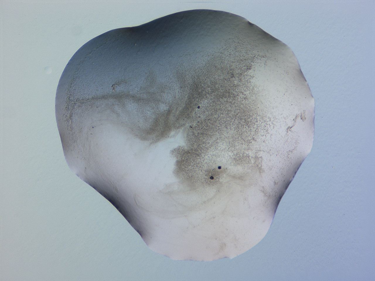 04gd_F2_ImagerDefaults_3.jpg