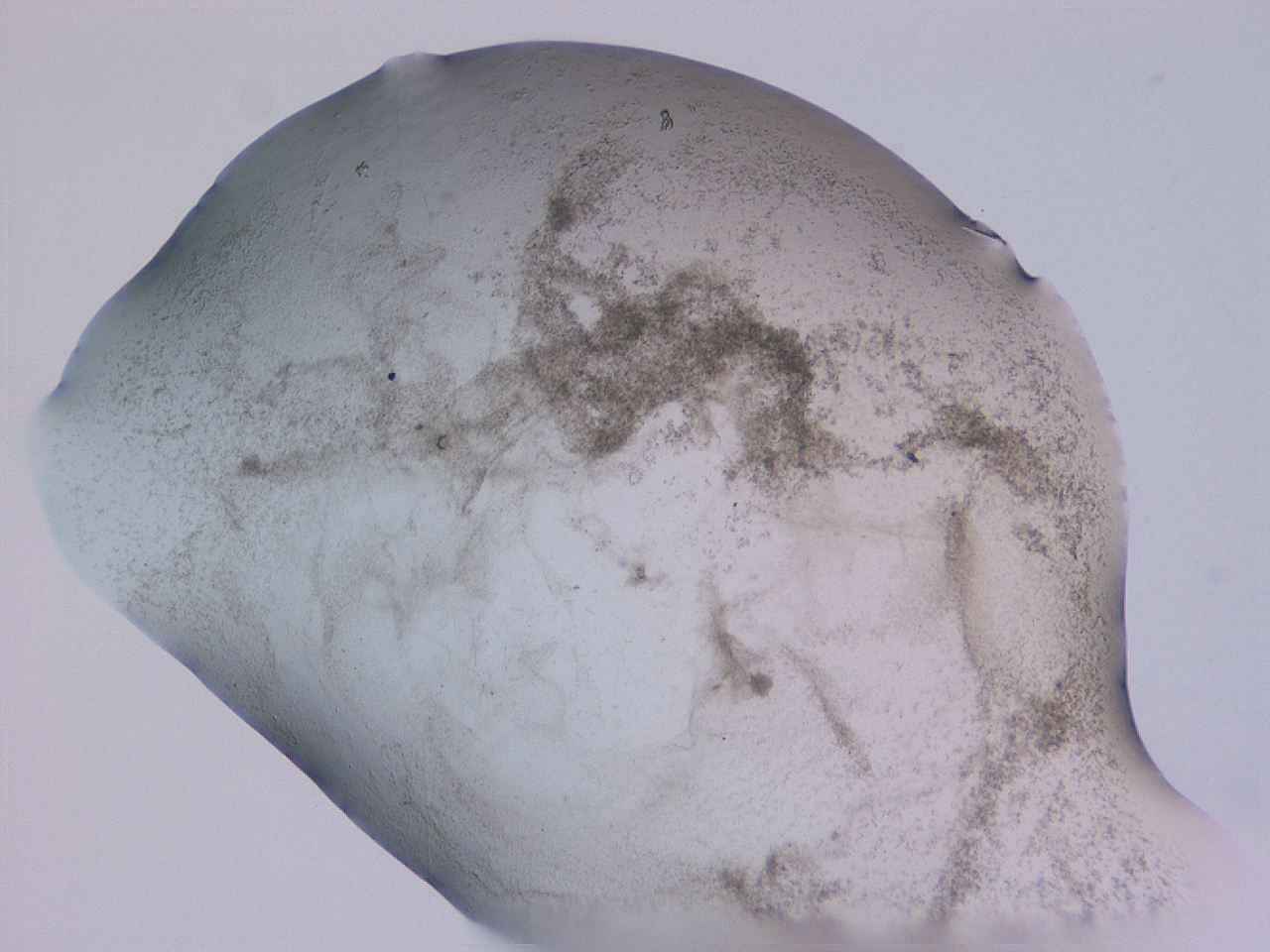 04gd_F12_ImagerDefaults_3.jpg