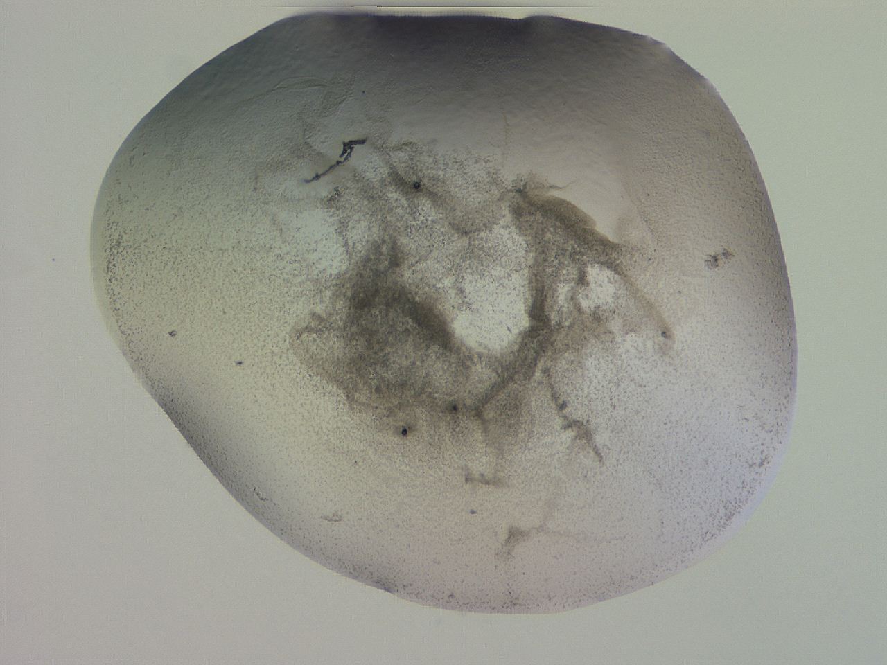 04gd_G2_ImagerDefaults_3.jpg