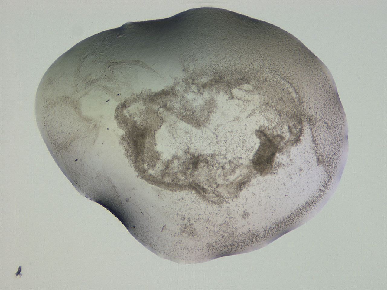 04gd_G10_ImagerDefaults_3.jpg