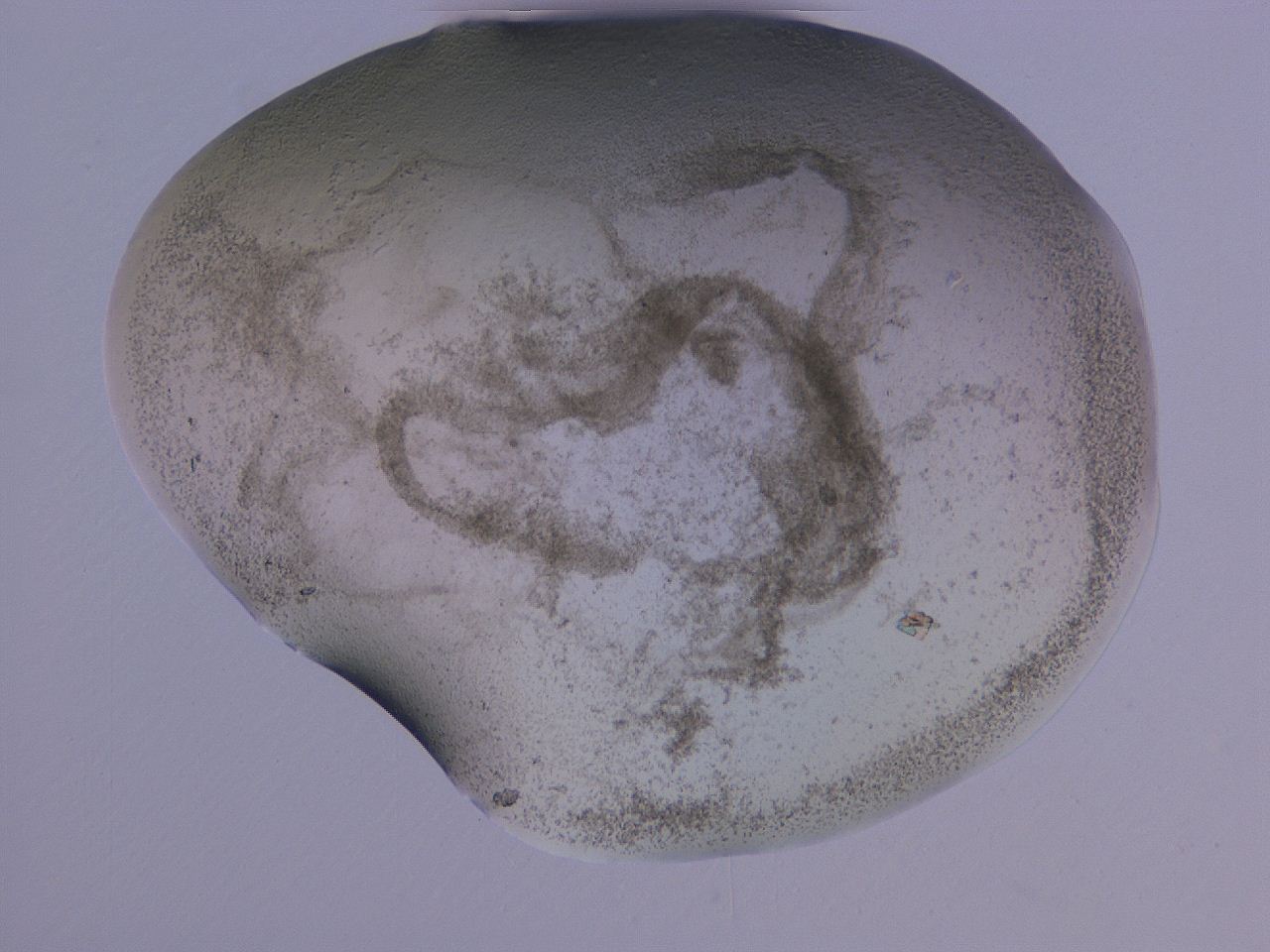 04gd_G11_ImagerDefaults_3.jpg