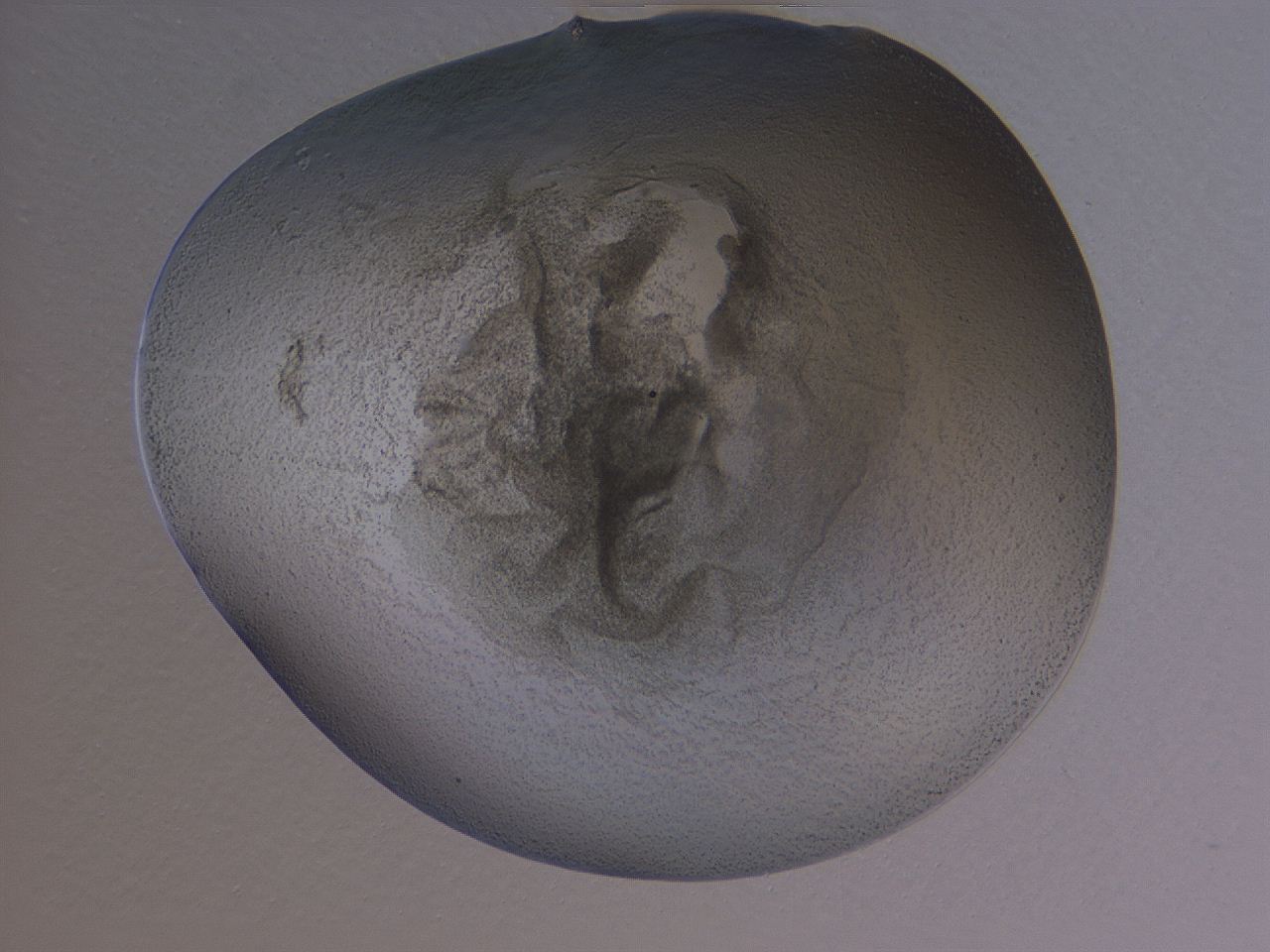 04gd_H1_ImagerDefaults_3.jpg