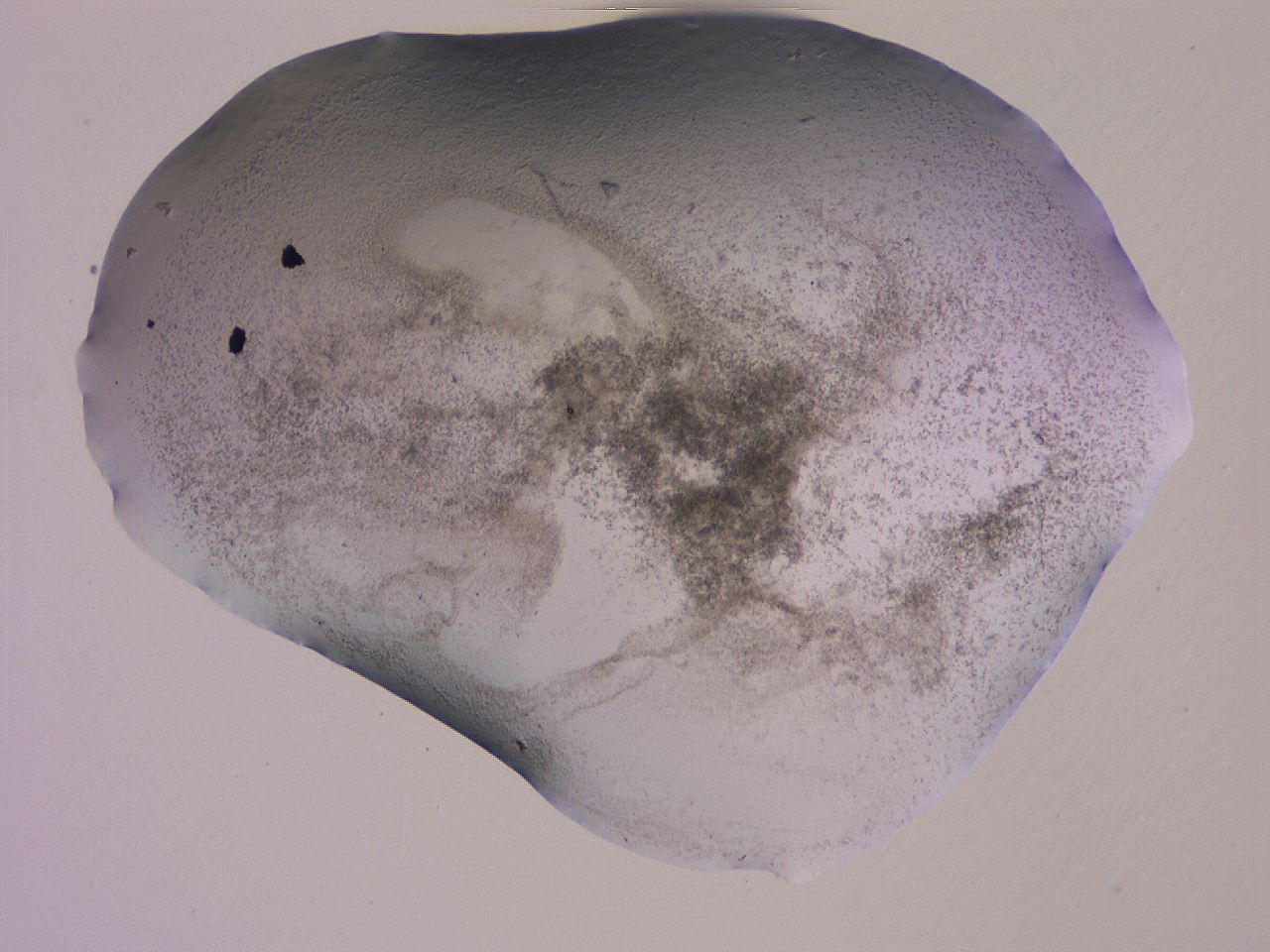 04gd_H6_ImagerDefaults_3.jpg