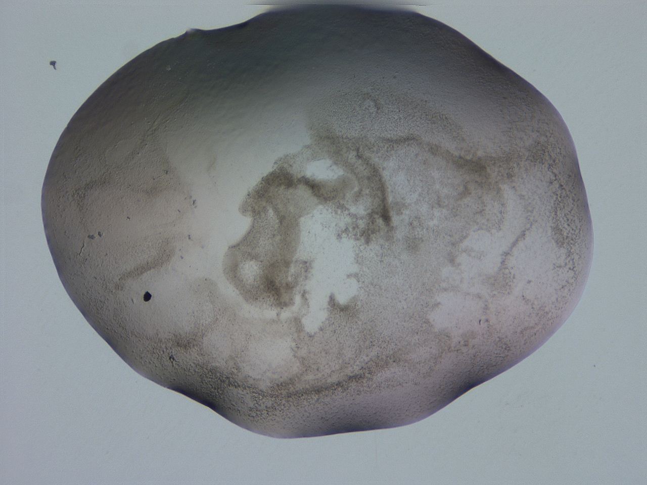 04gd_H11_ImagerDefaults_3.jpg