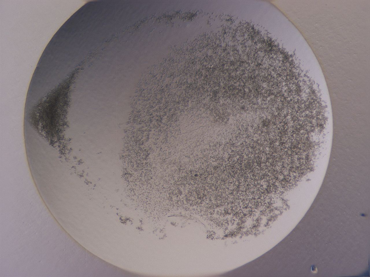 04ge_A8_ImagerDefaults_3.jpg