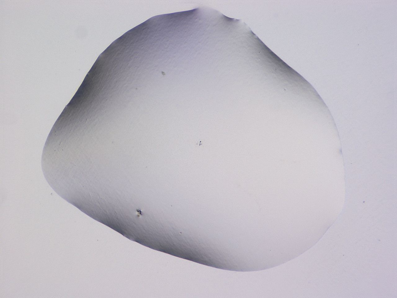 04ge_E11_ImagerDefaults_0.jpg