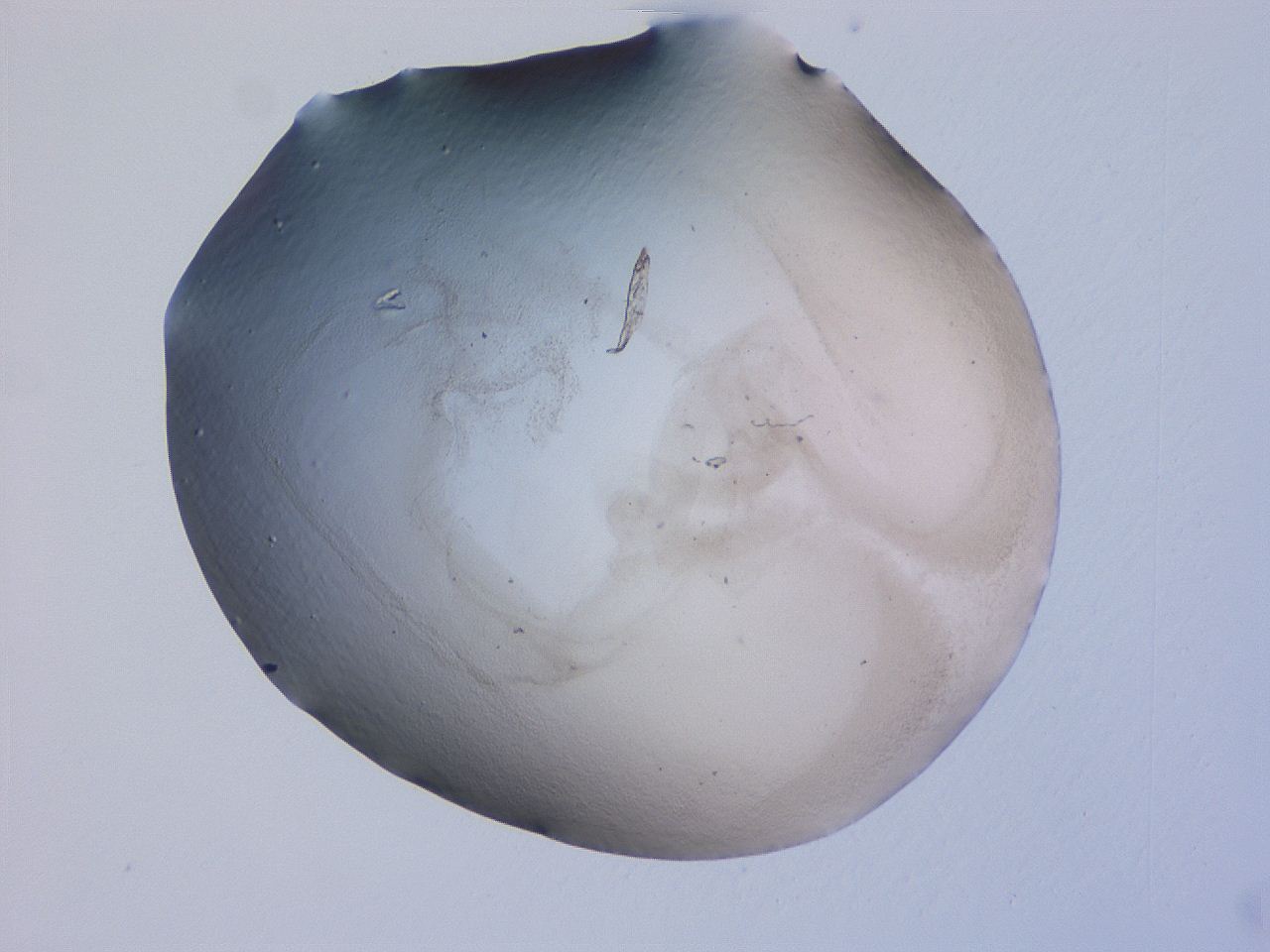 04ge_E12_ImagerDefaults_3.jpg