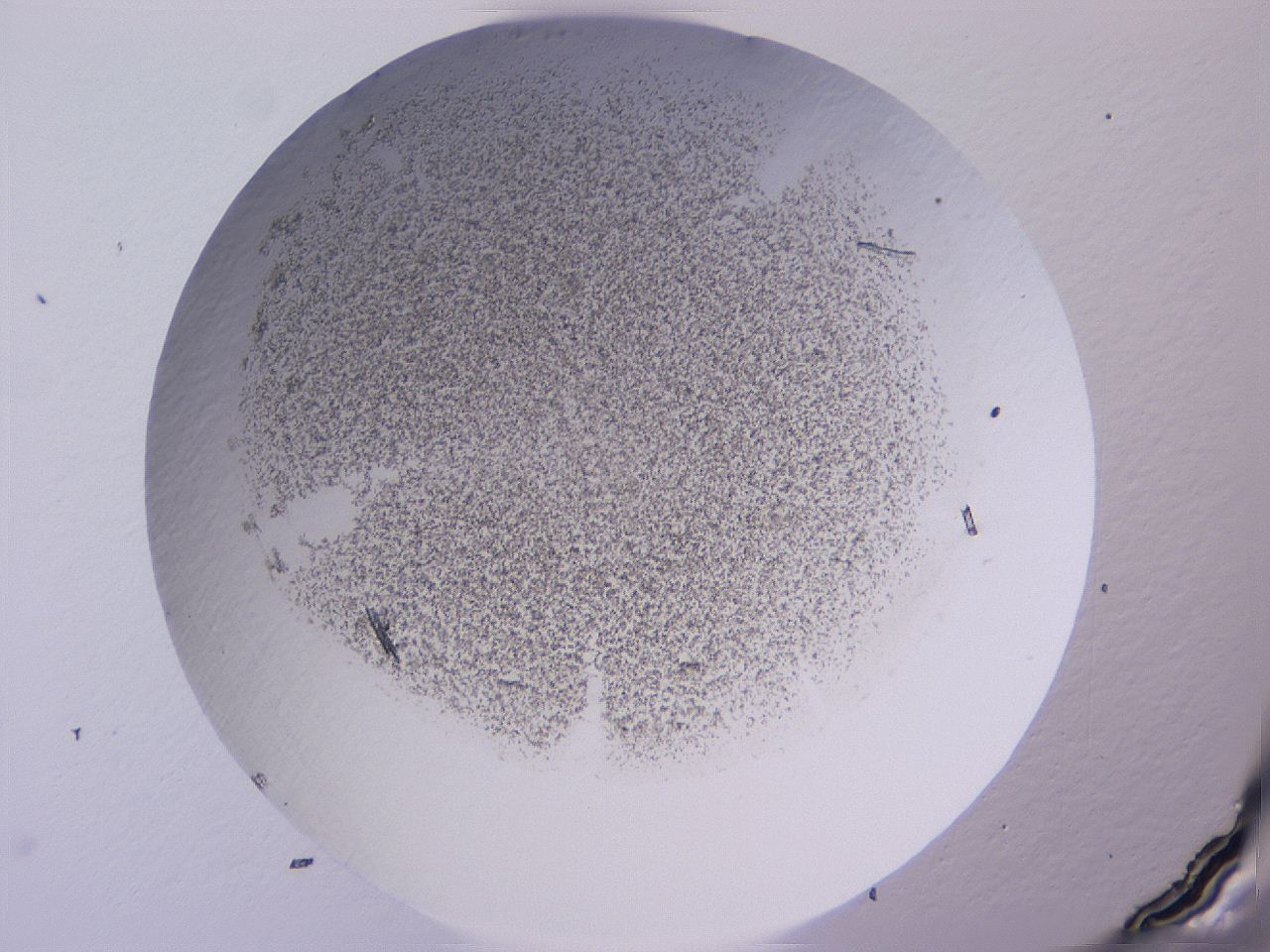 04ge_A12_ImagerDefaults_3.jpg