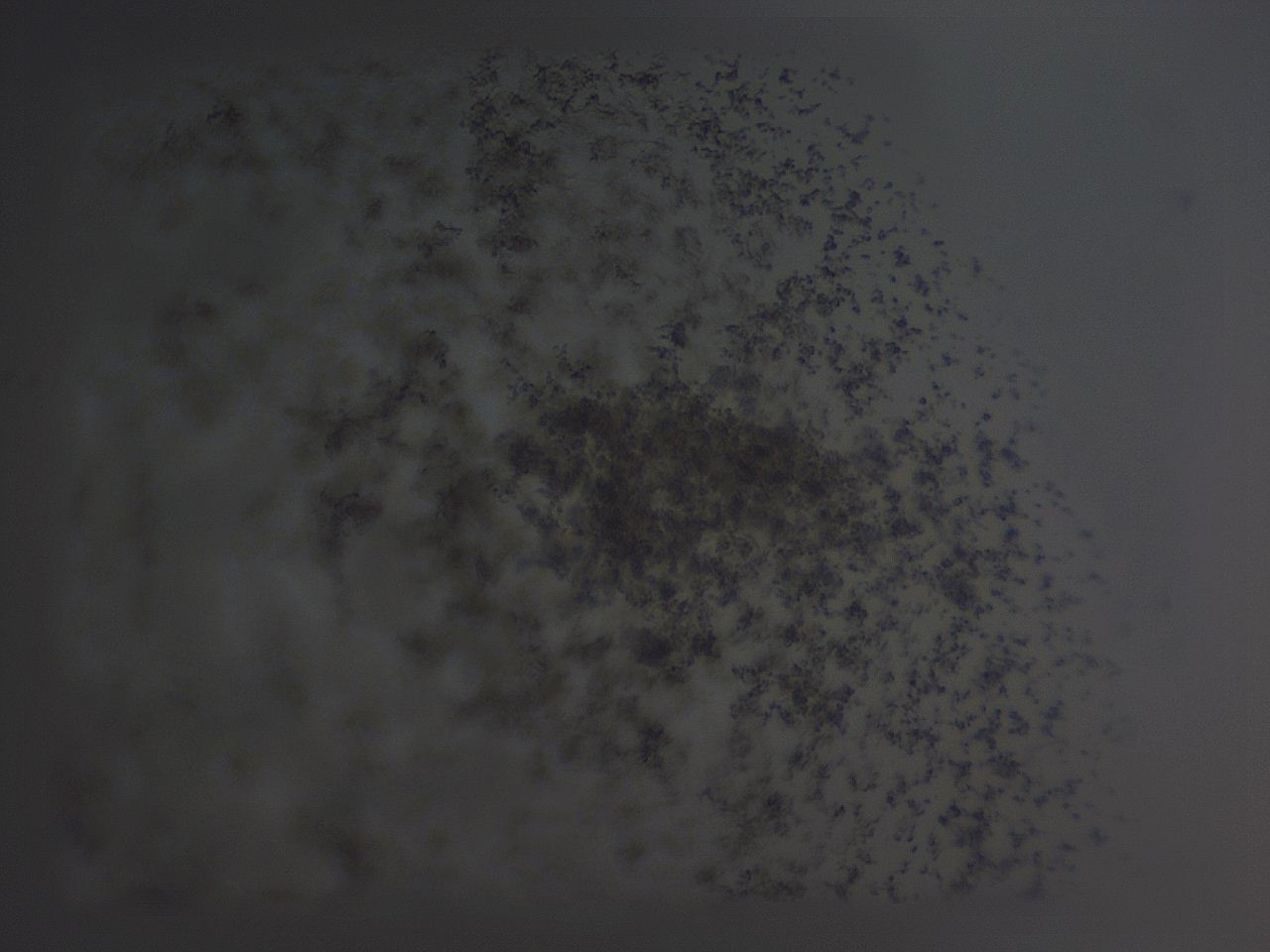 04ge_B2_ImagerDefaults_3.jpg