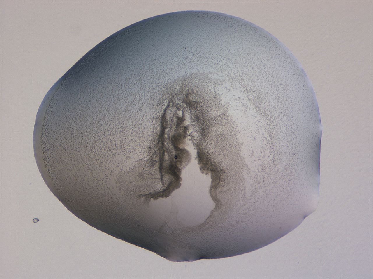 04ge_B6_ImagerDefaults_3.jpg