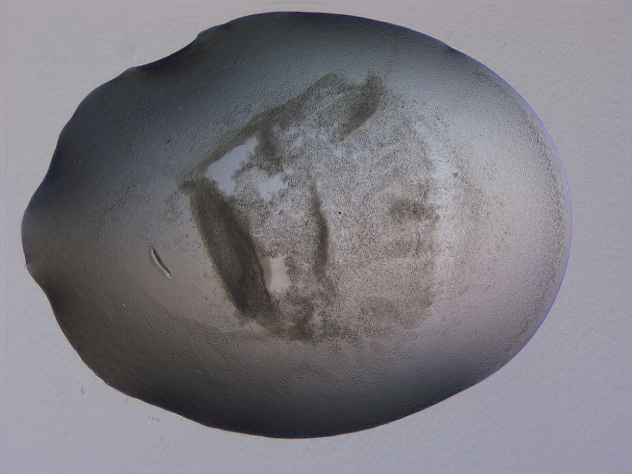 04ge_B10_ImagerDefaults_3.jpg