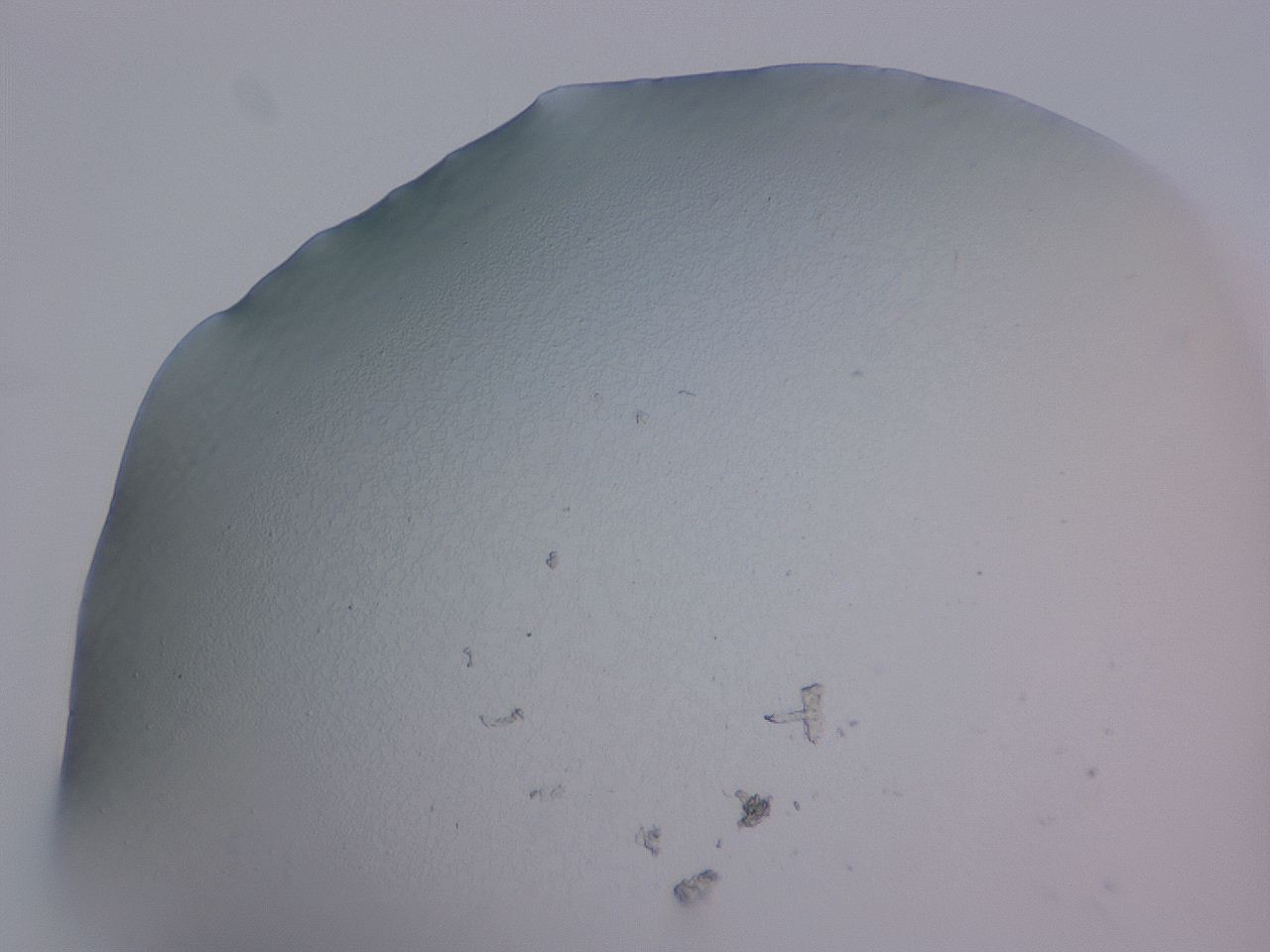 04ge_F8_ImagerDefaults_0.jpg