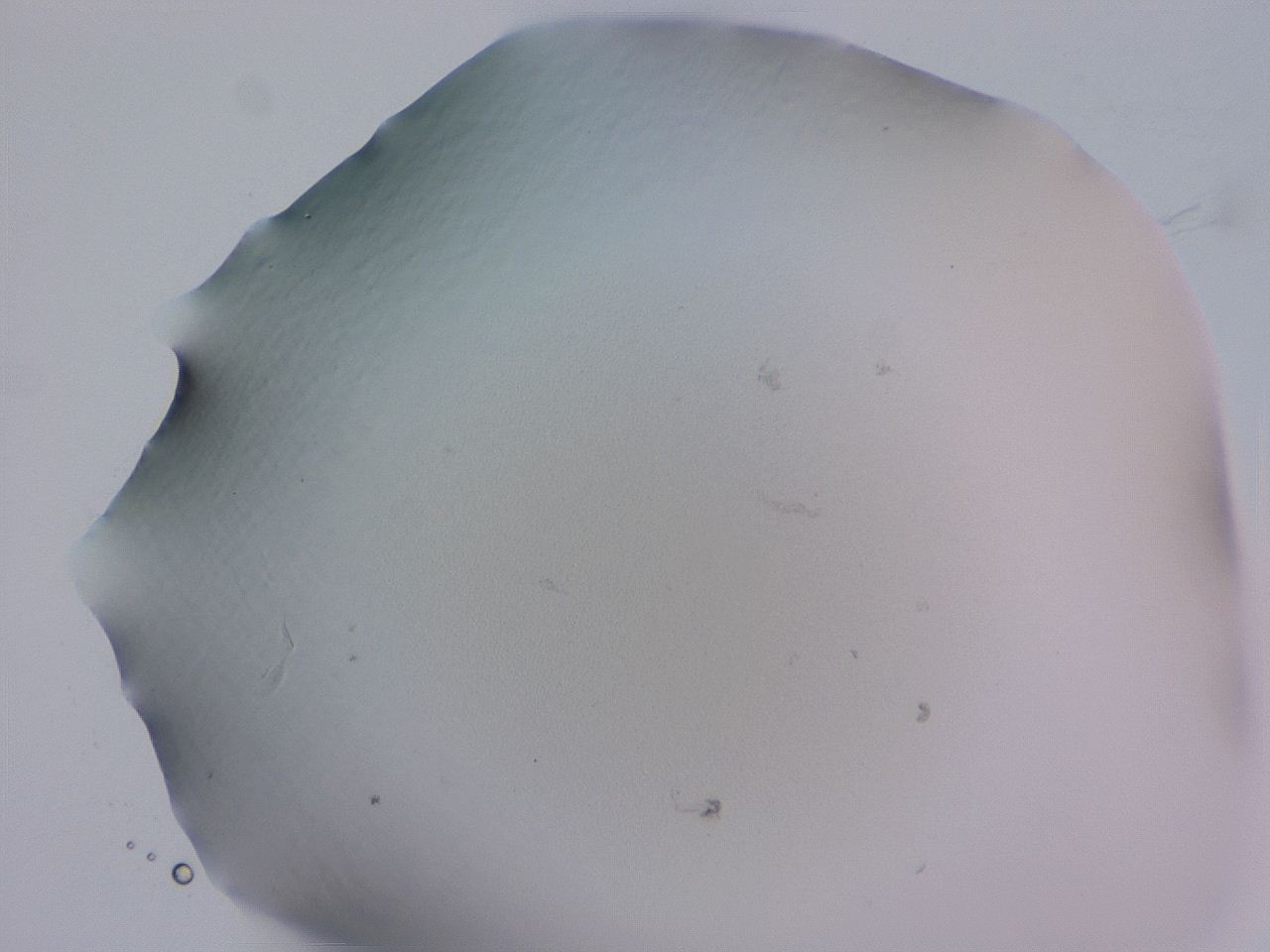 04ge_F9_ImagerDefaults_0.jpg