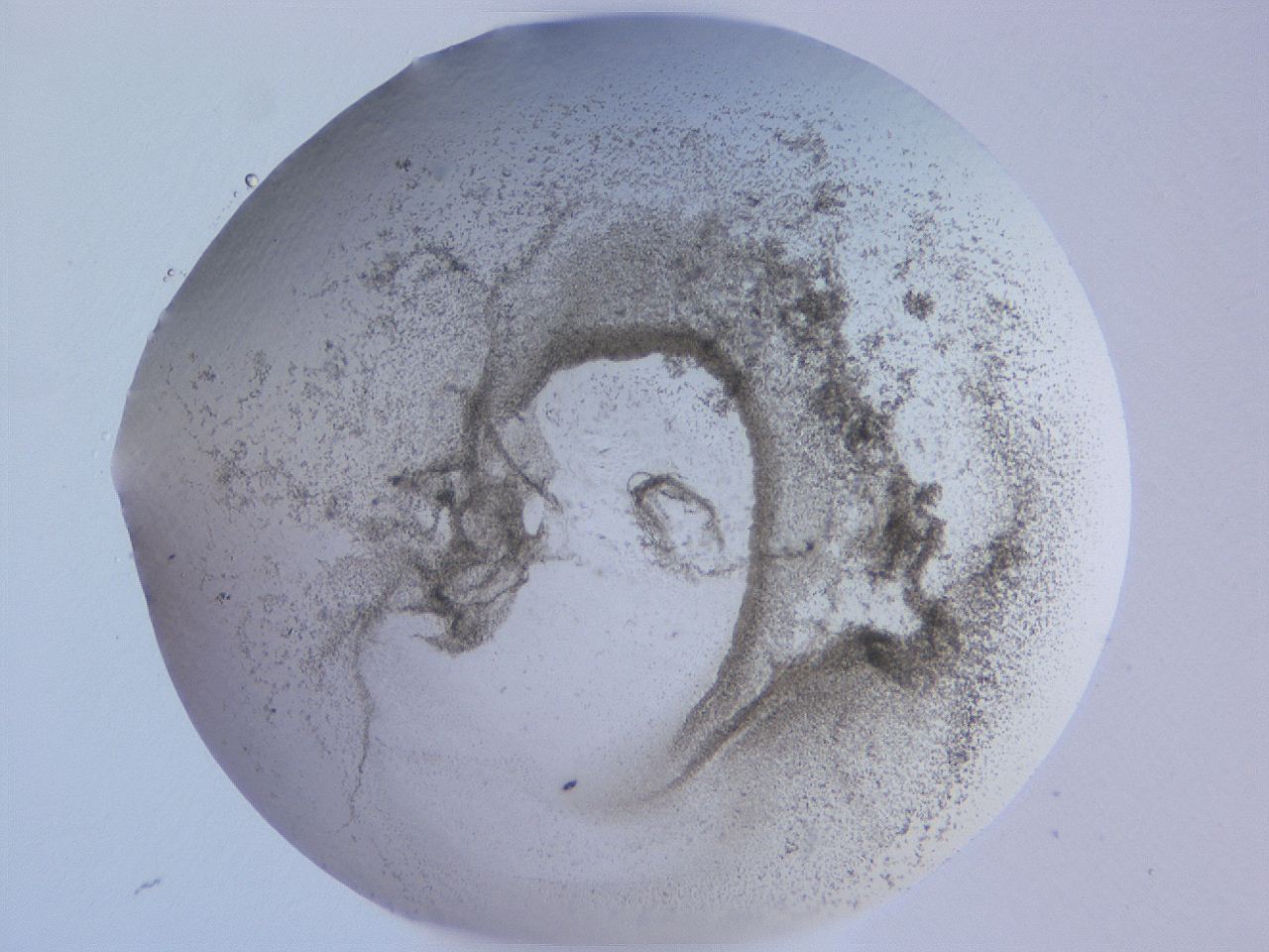 04ge_F10_ImagerDefaults_3.jpg
