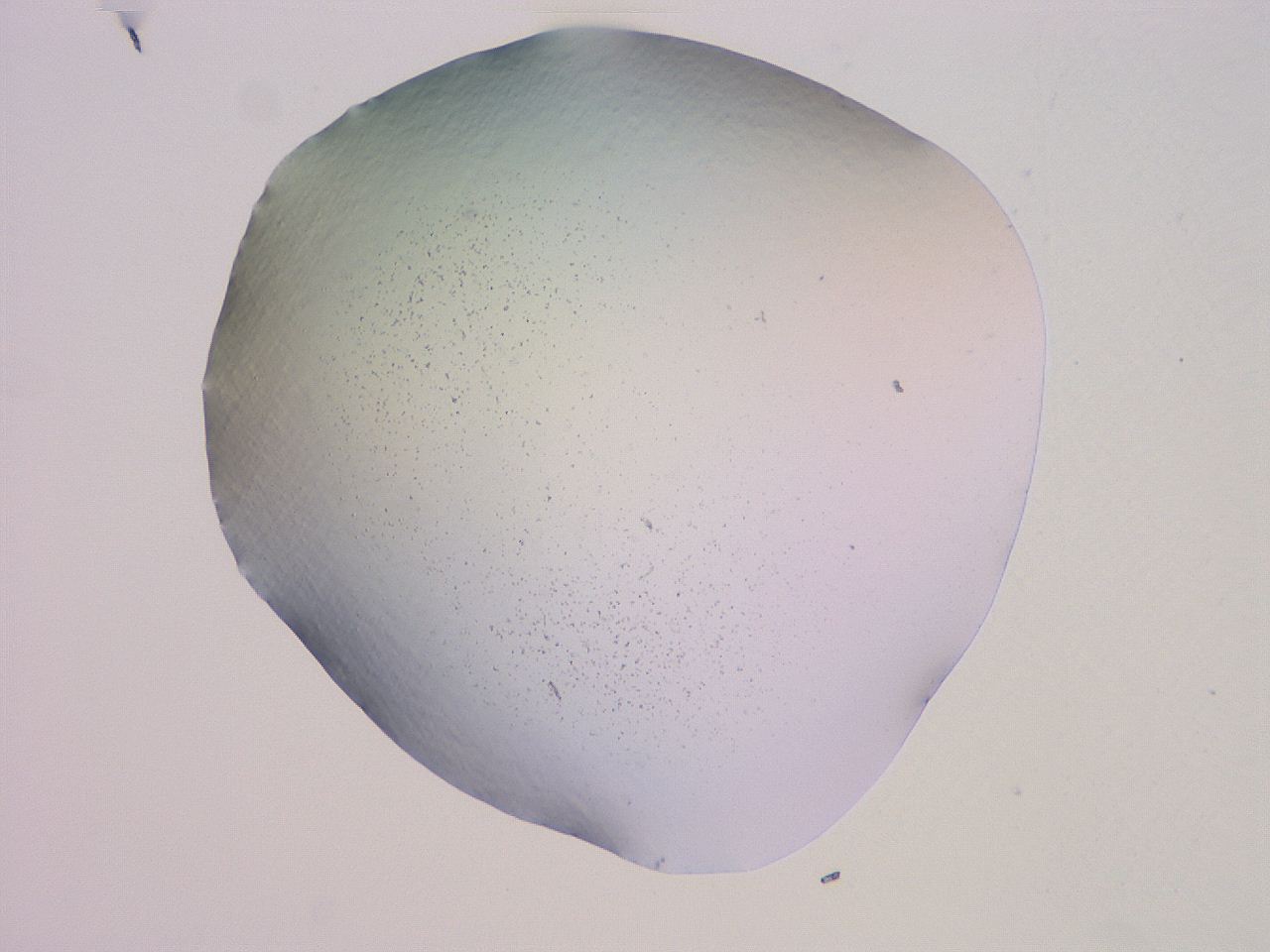 04ge_F11_ImagerDefaults_0.jpg