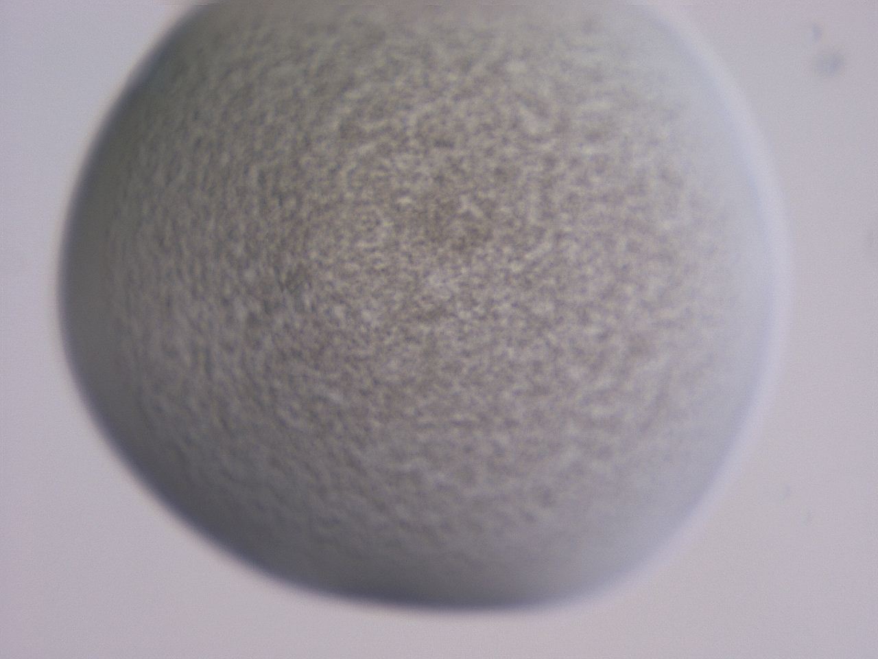 04ge_B12_ImagerDefaults_3.jpg