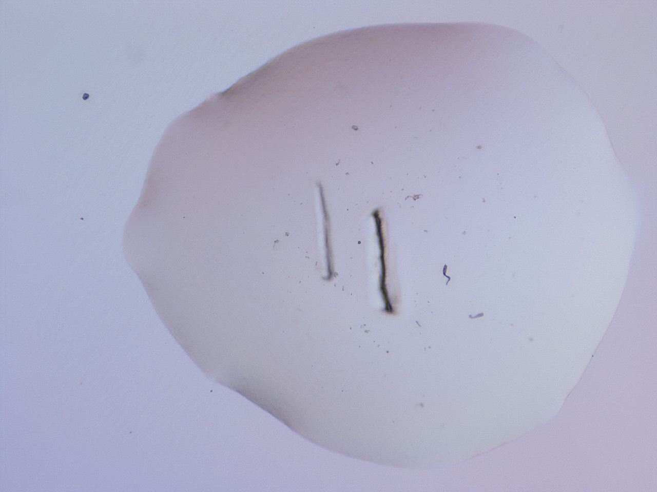 04ge_C1_ImagerDefaults_0.jpg