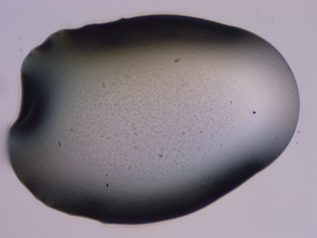 04ge_C2_ImagerDefaults_0.jpg